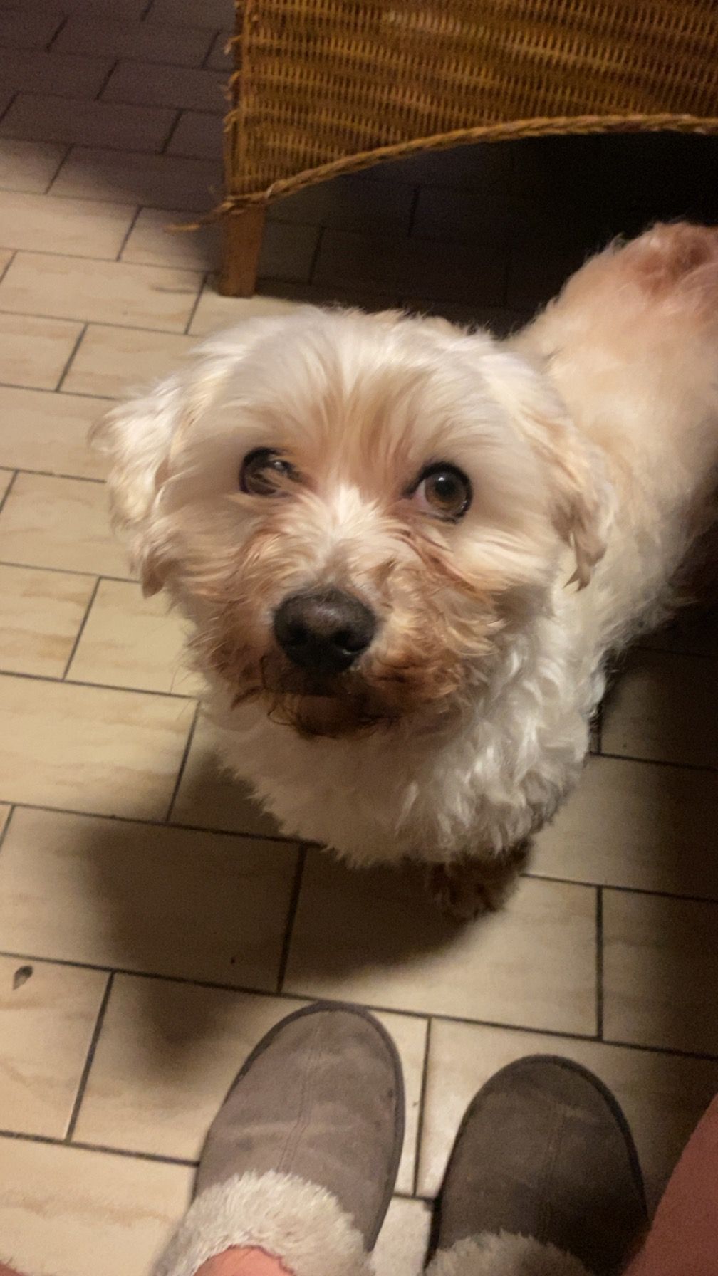 Rokie - Kleuterstraat 19, Duffel