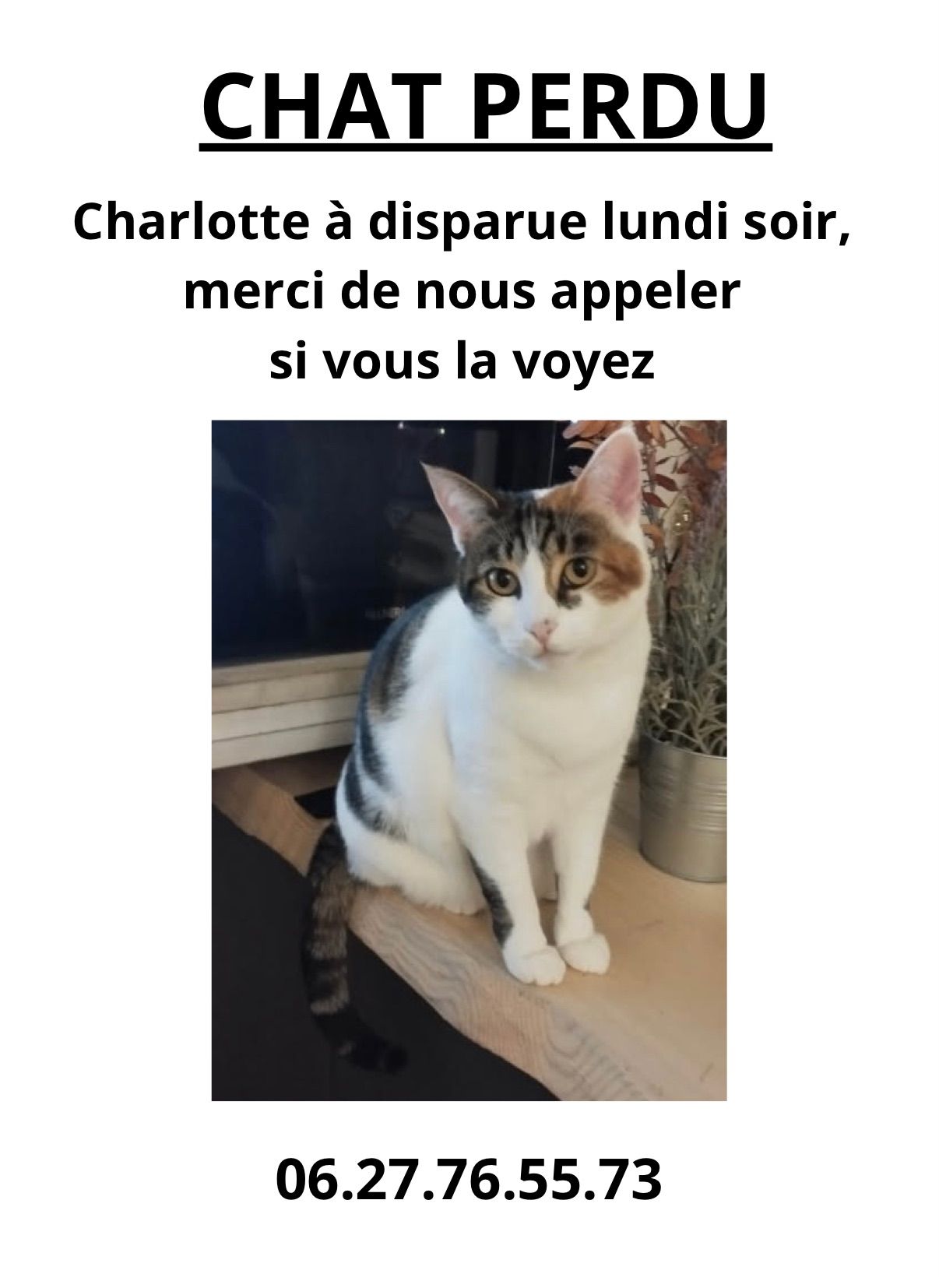 Charlotte  - Rue Fanguerot, Hyères