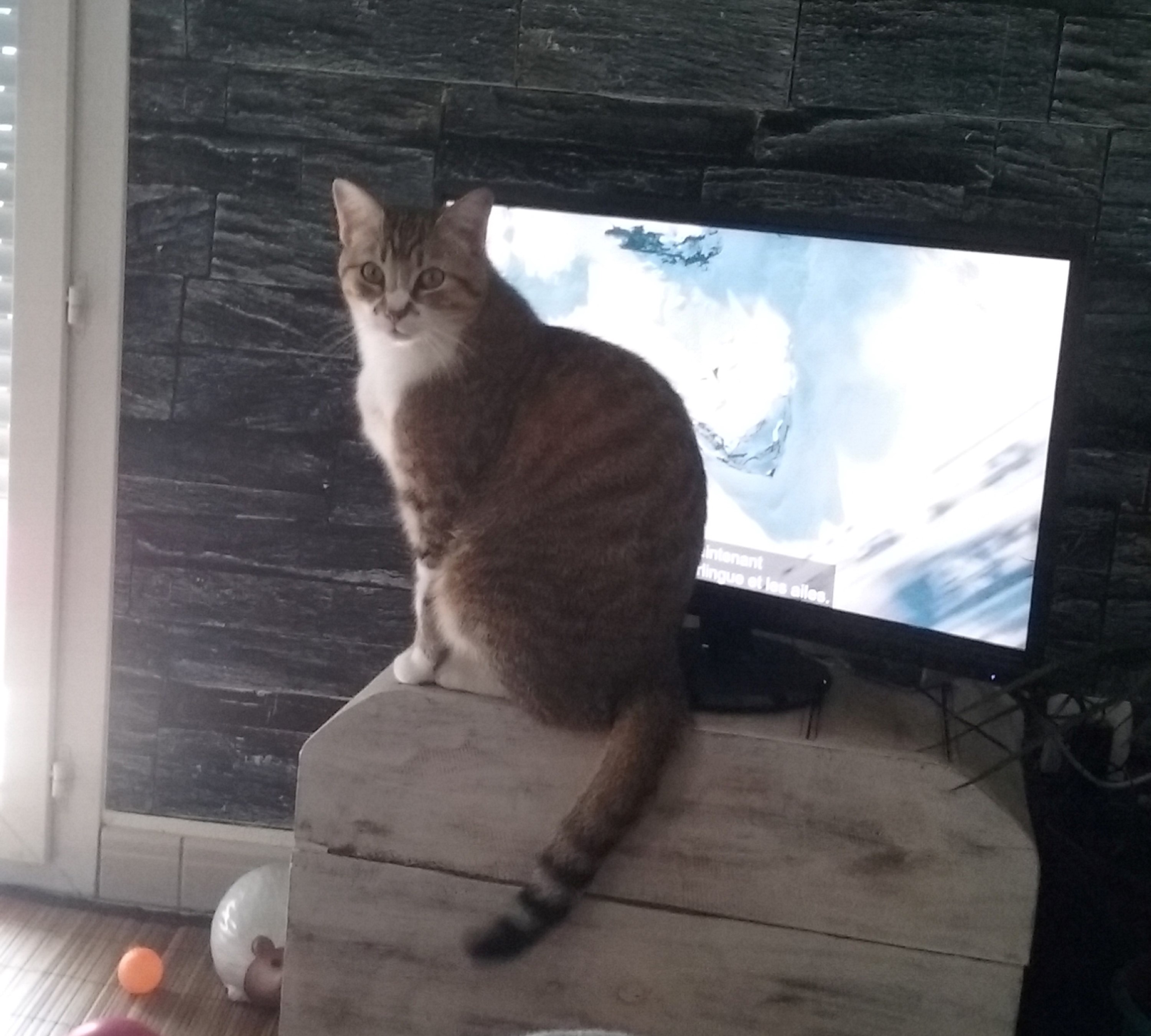 Patchi - Pombonne Ouest, Bergerac