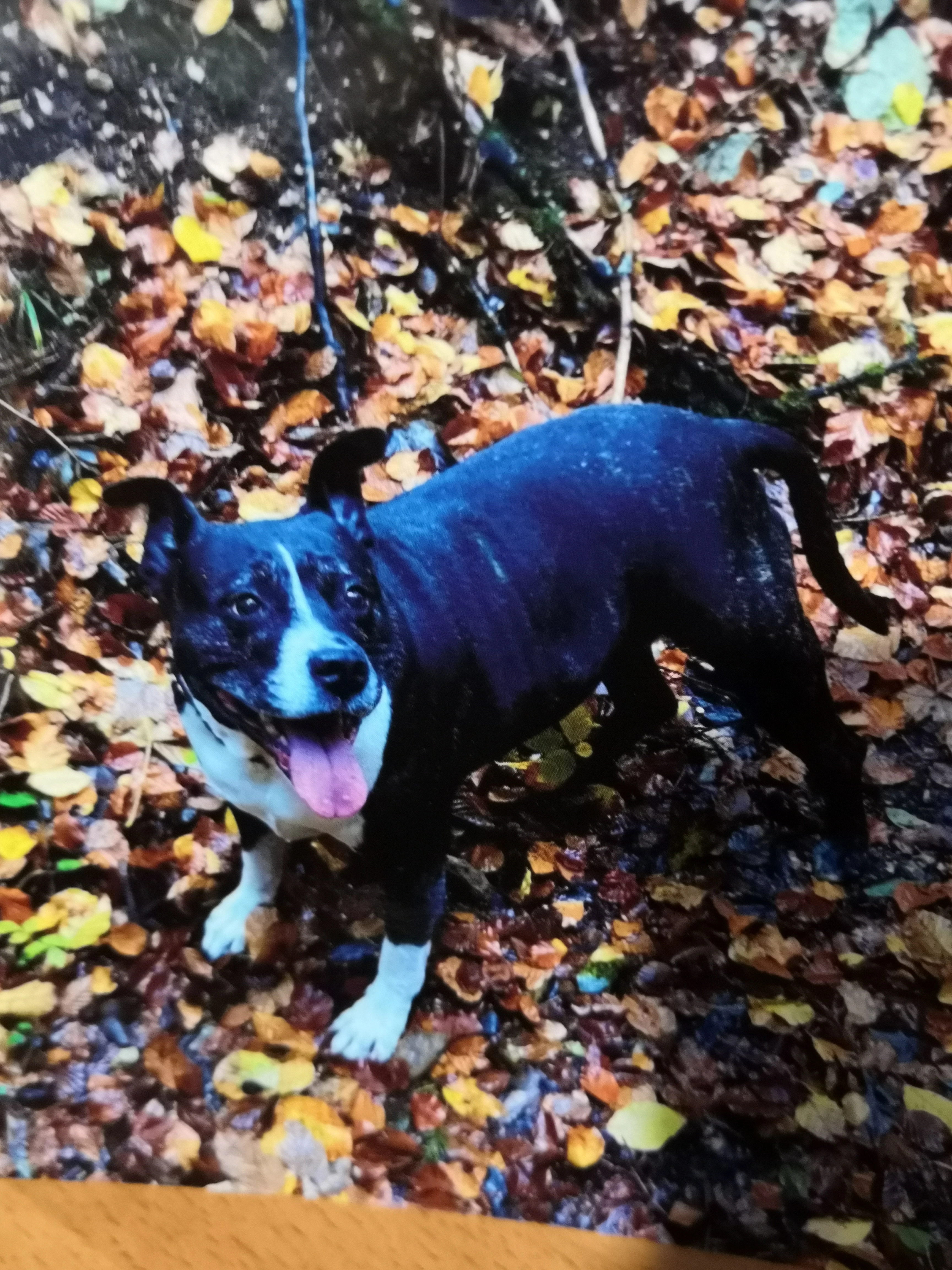 Zena - Rue de la Foule 6, Val-de-Travers