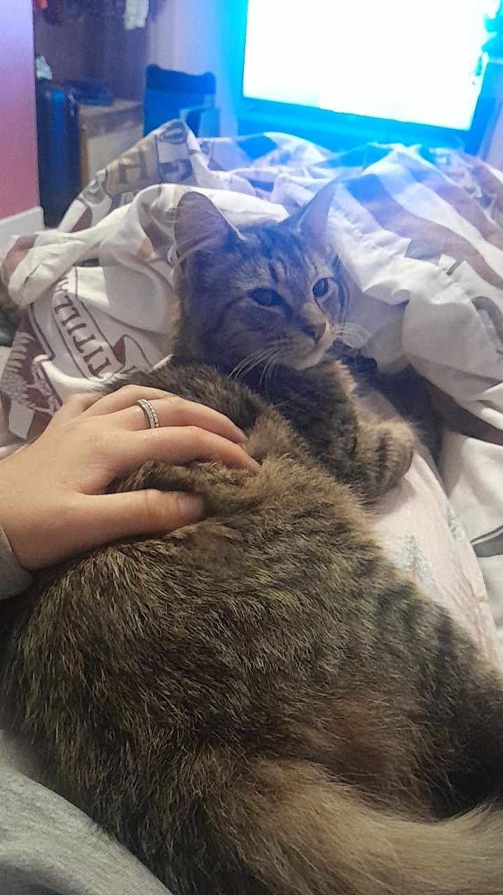 Storm - Lower Waun Street, Pontypool