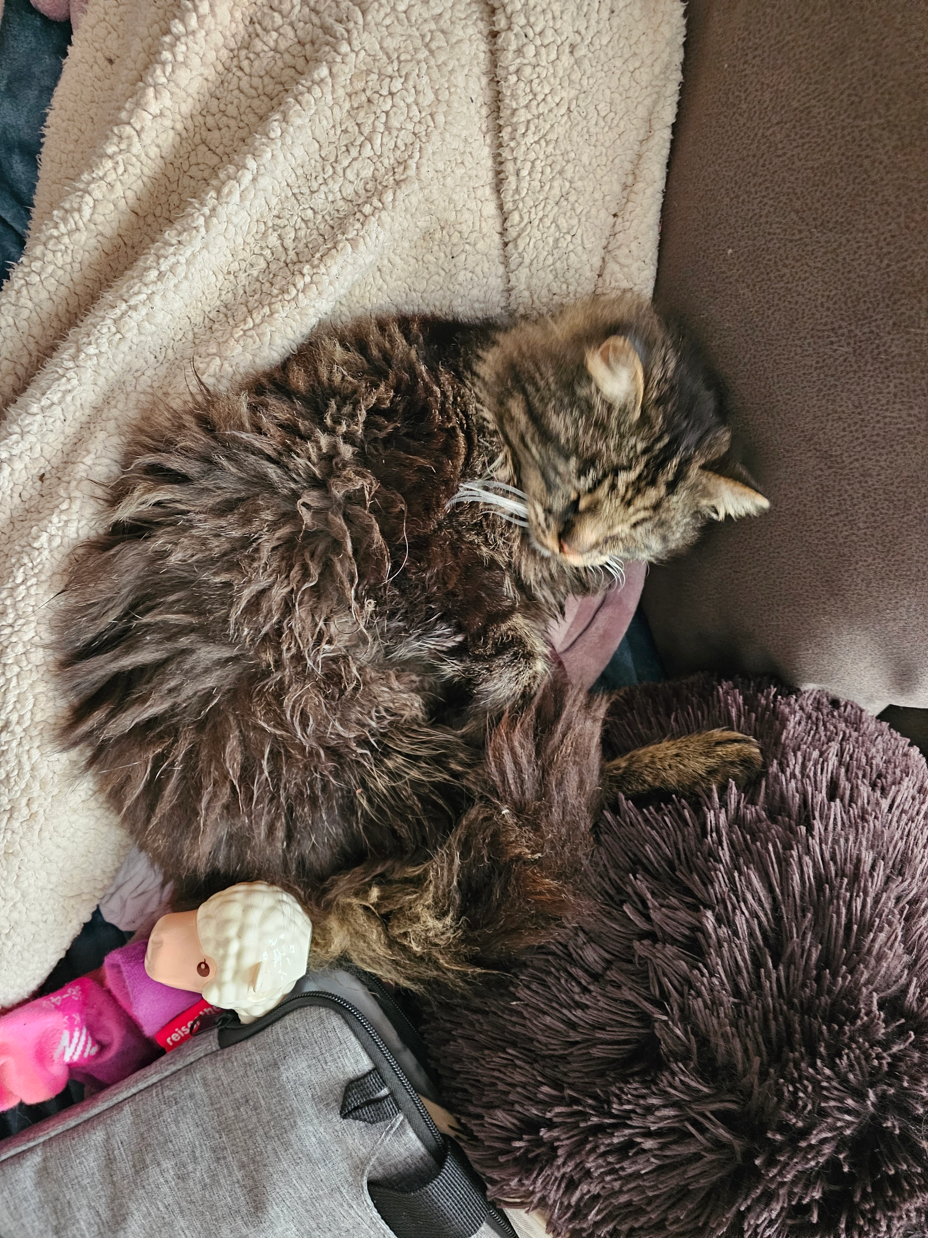 Navar - Piener Weg, Gummersbach