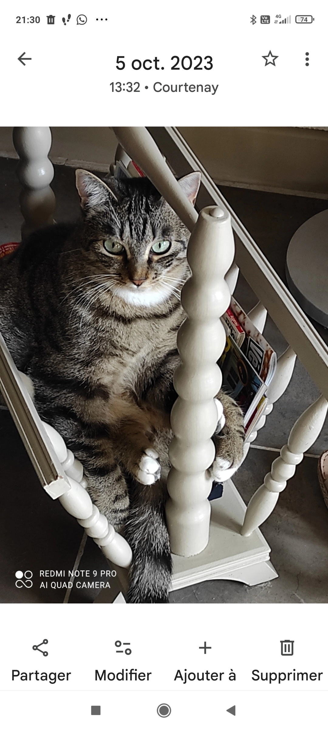 Maya  - 14 impasse de la soie , Montalieu-Vercieu