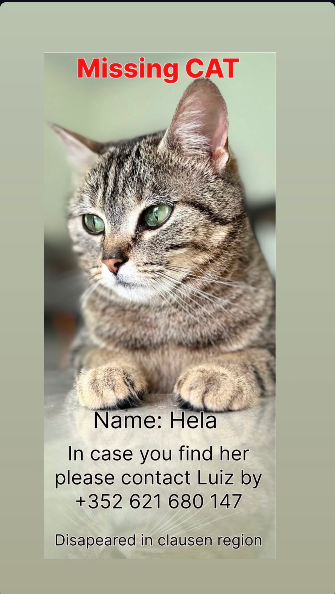 Hela - Rue Malakoff, Luxembourg