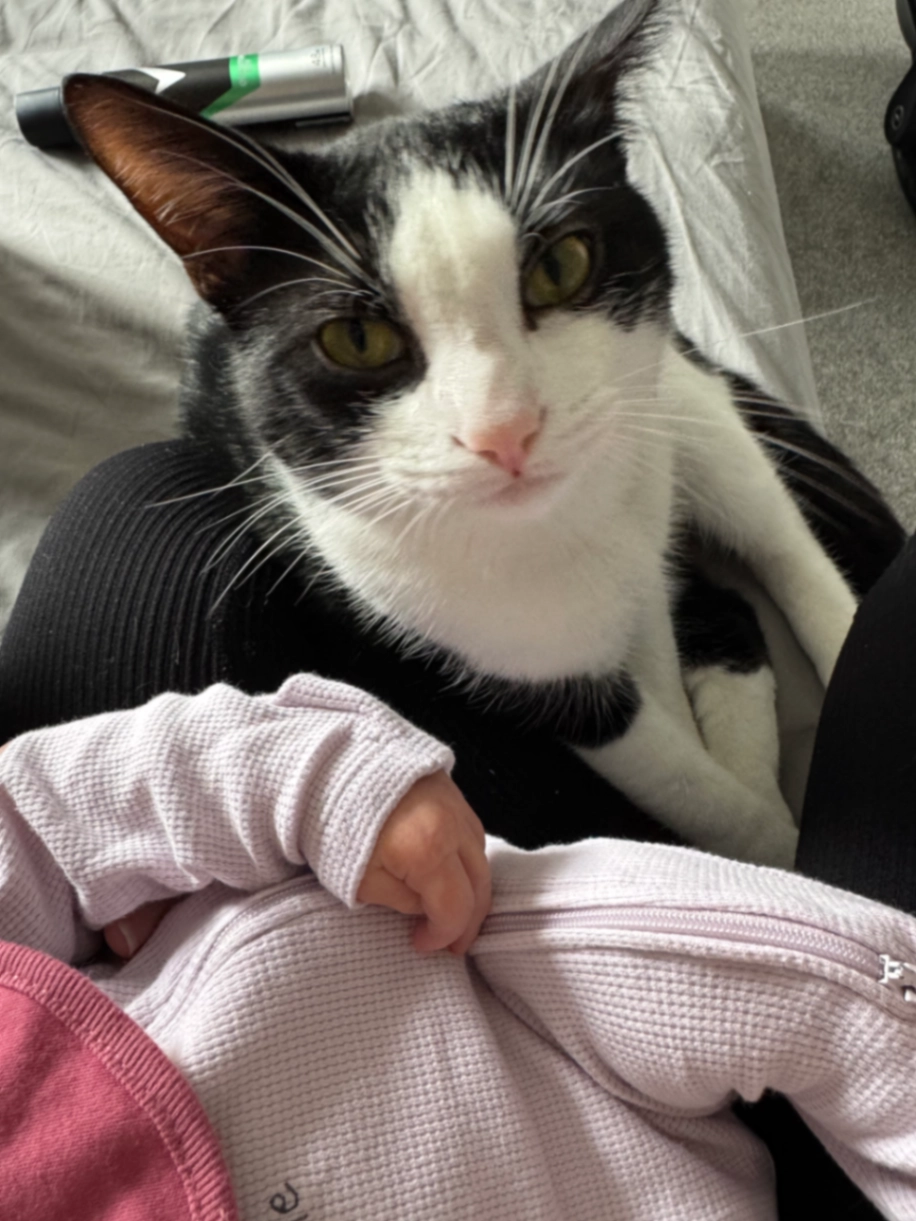 Uhtred - Nash Drive, Redhill