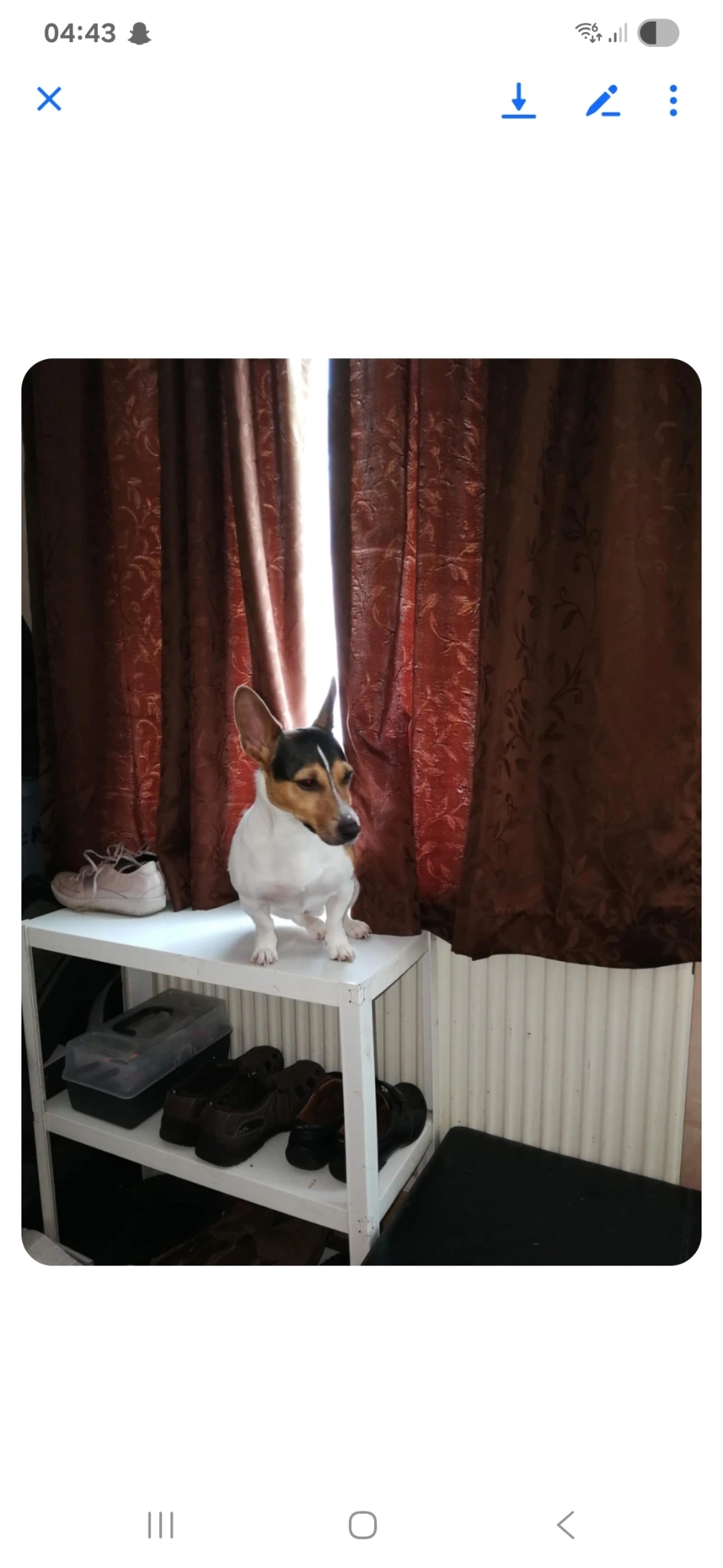 San - Beacon Hill Lane, King's Lynn