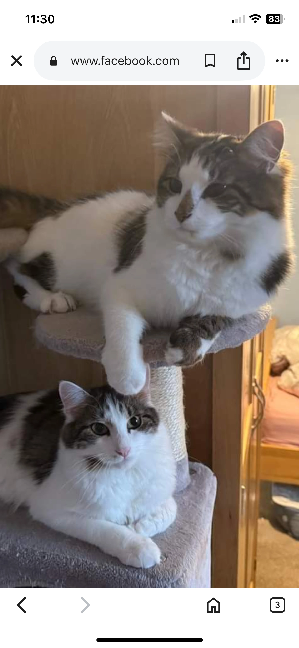 Enzo Bookerhill Road high Wycomb - Bookerhill Road, High Wycombe