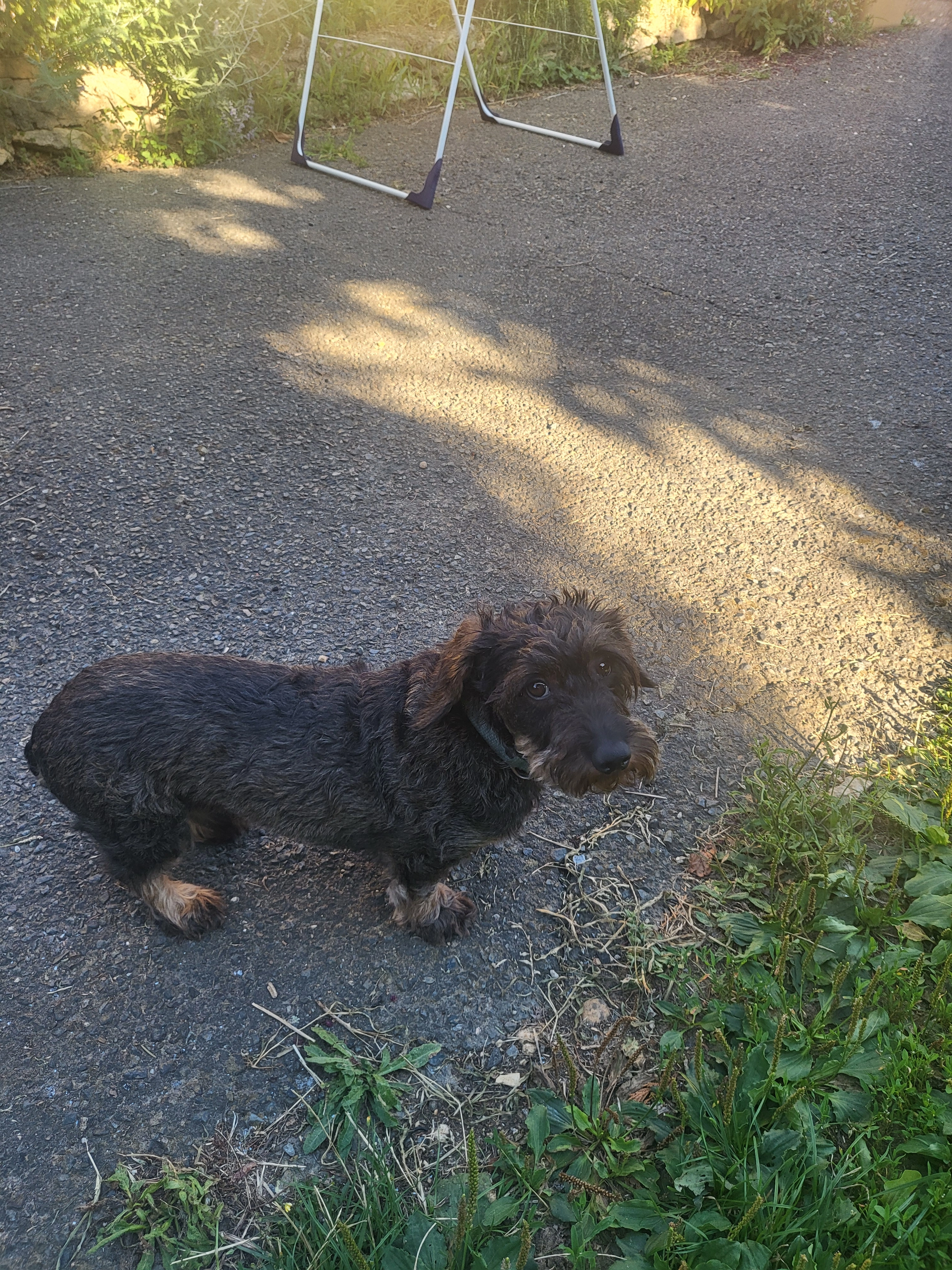 Saxo - Place de la République, Châtillon-sur-Chalaronne