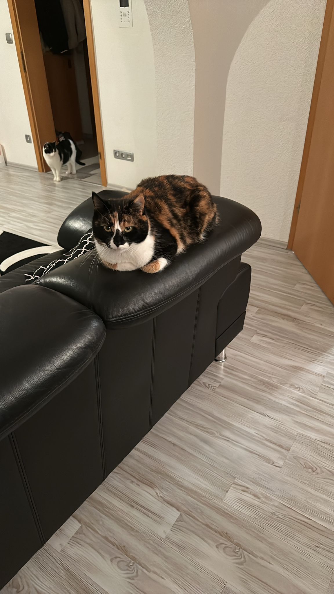 Mae - Quellenweg, Olpe