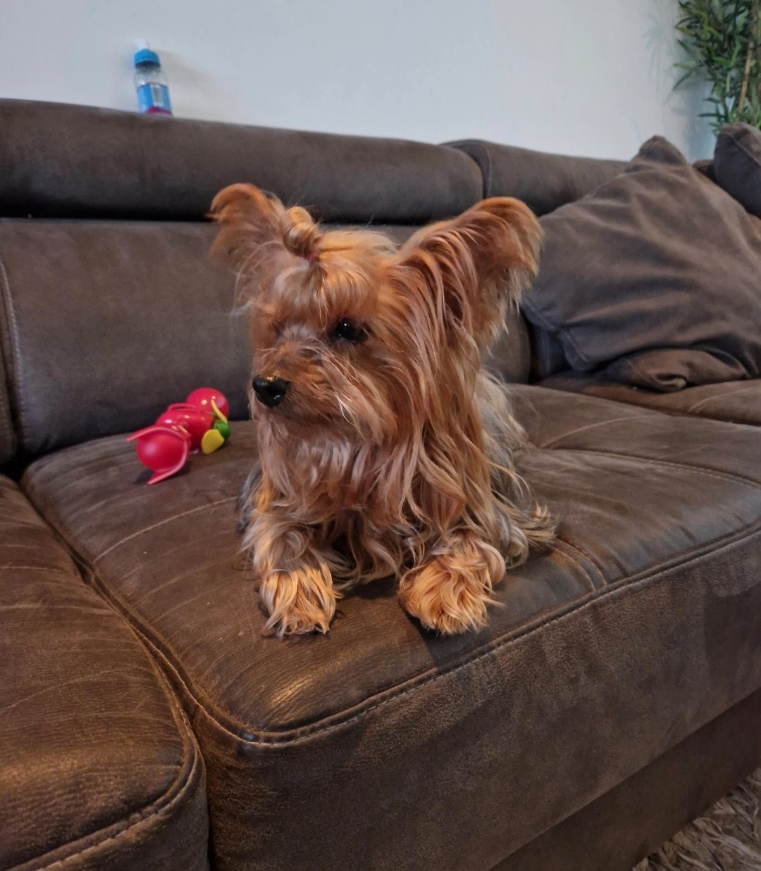 Vexy - Rue Winston Churchill, Courcelles