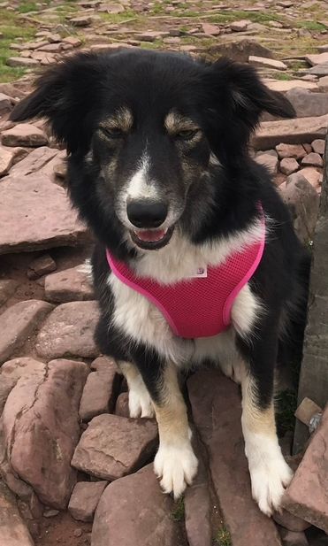 B - NP22 4BL, Tredegar