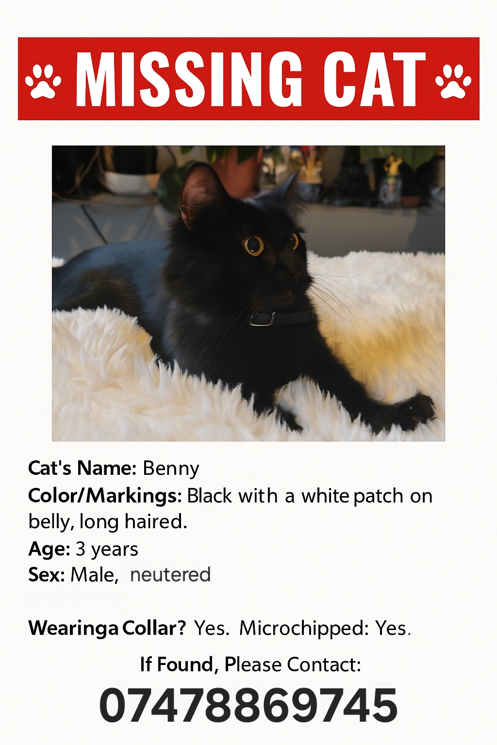 Benny - Longfellow Road, Coventry