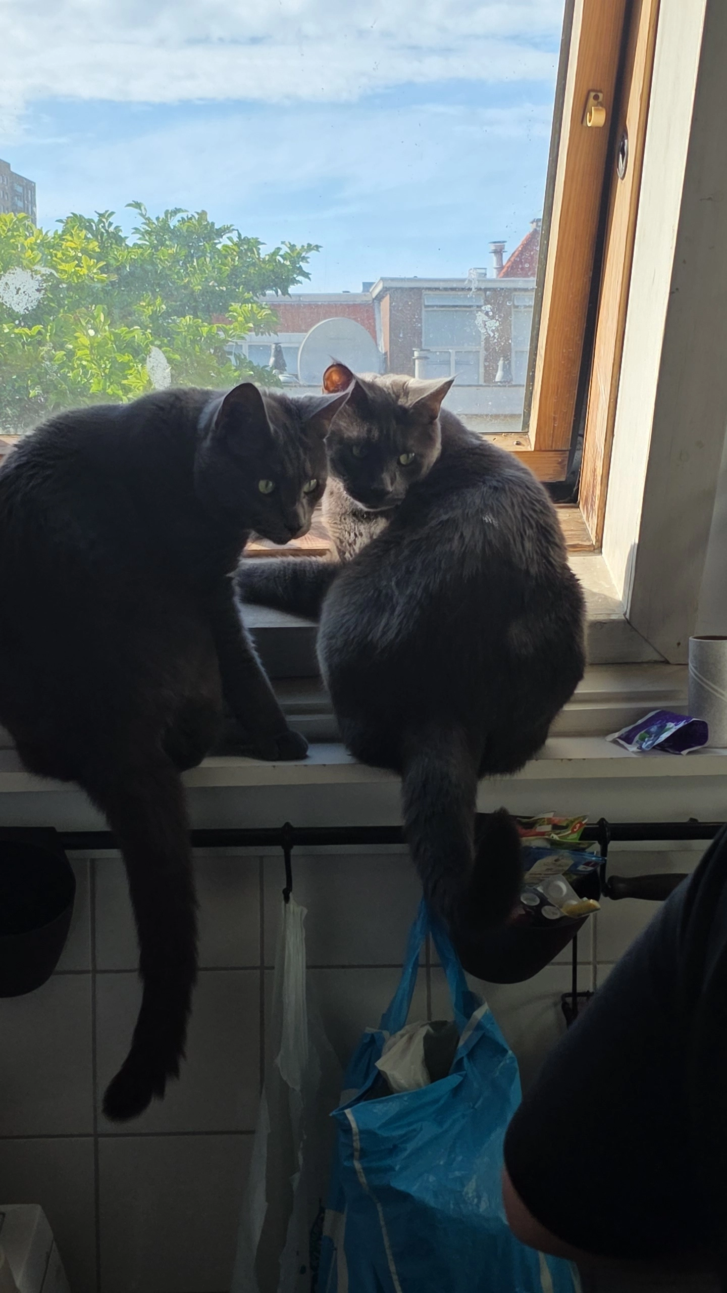 Para - Ter Heijdestraat, Den Haag