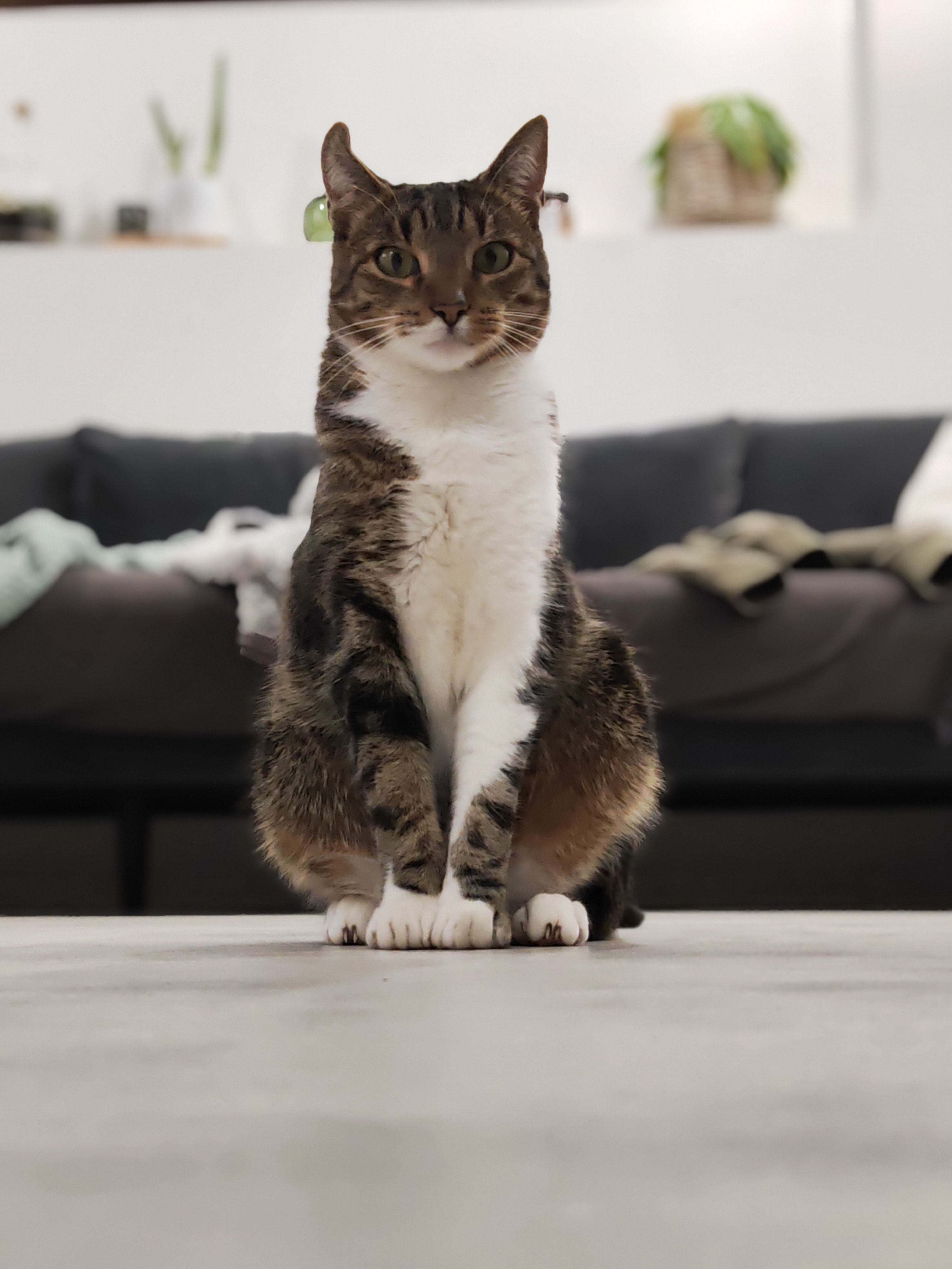 Rio - Rua Lopo Fernandes Do Condado, Buarcos