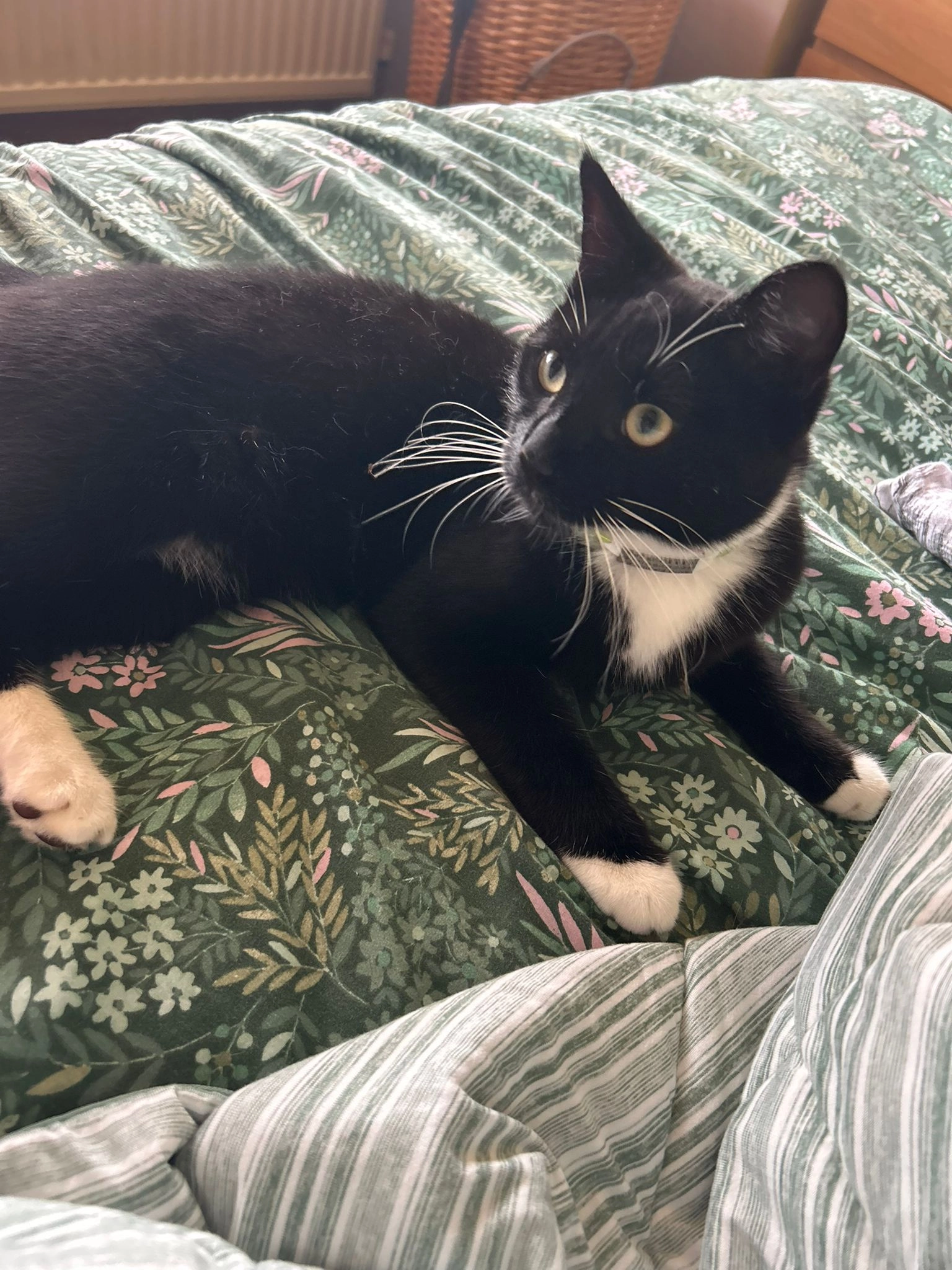 Merlin - 72 Hillfield Drive, Wirral