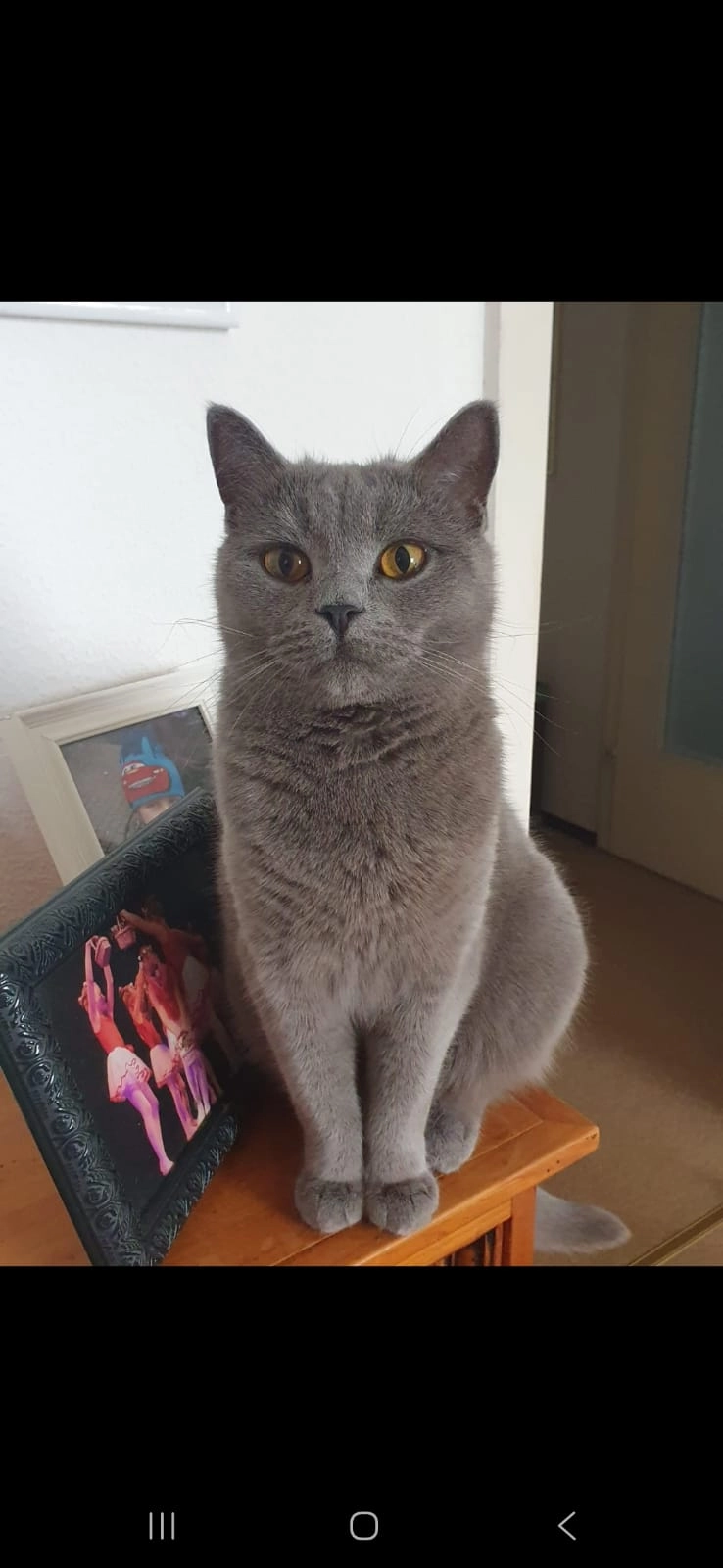 Nala - Ortenauer Straße, Heidelberg