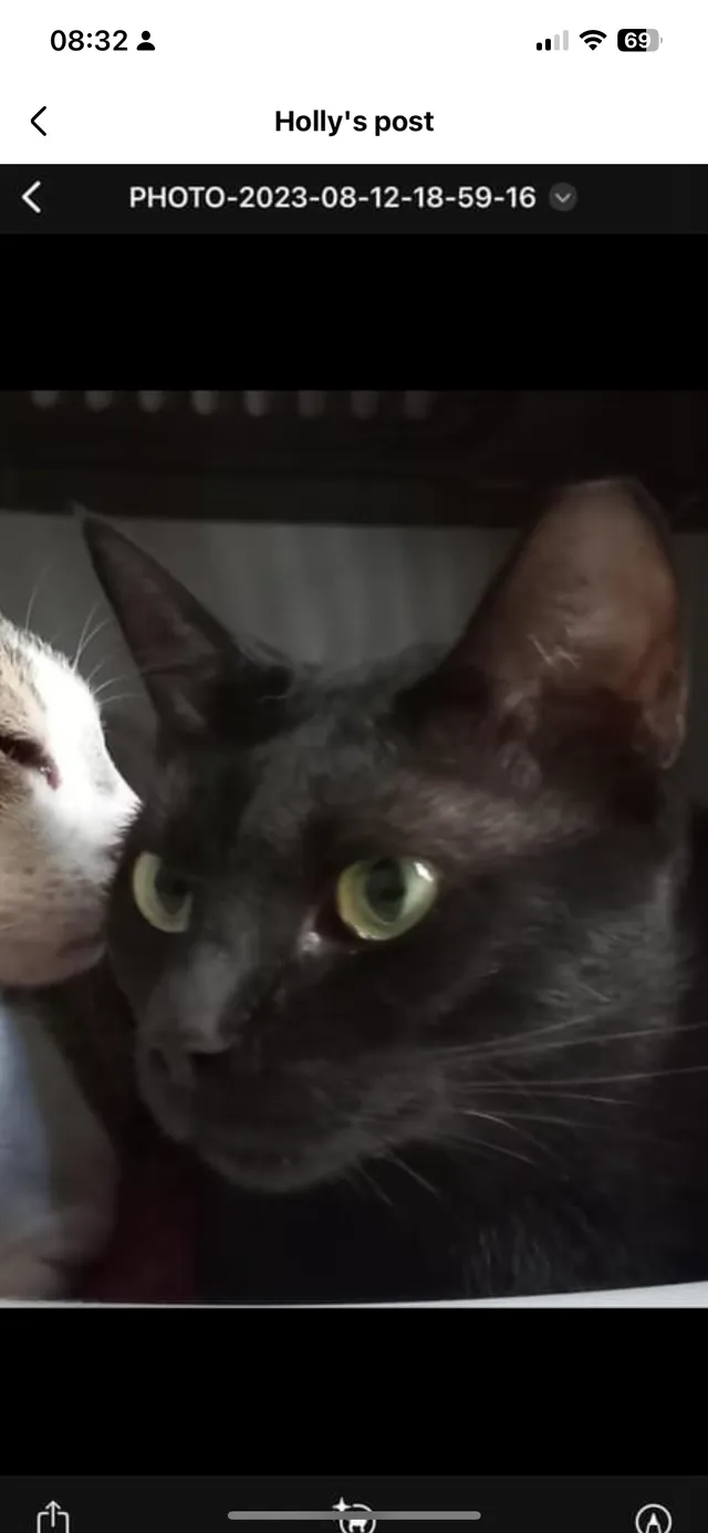 Kash - Glanfield Road, Beckenham