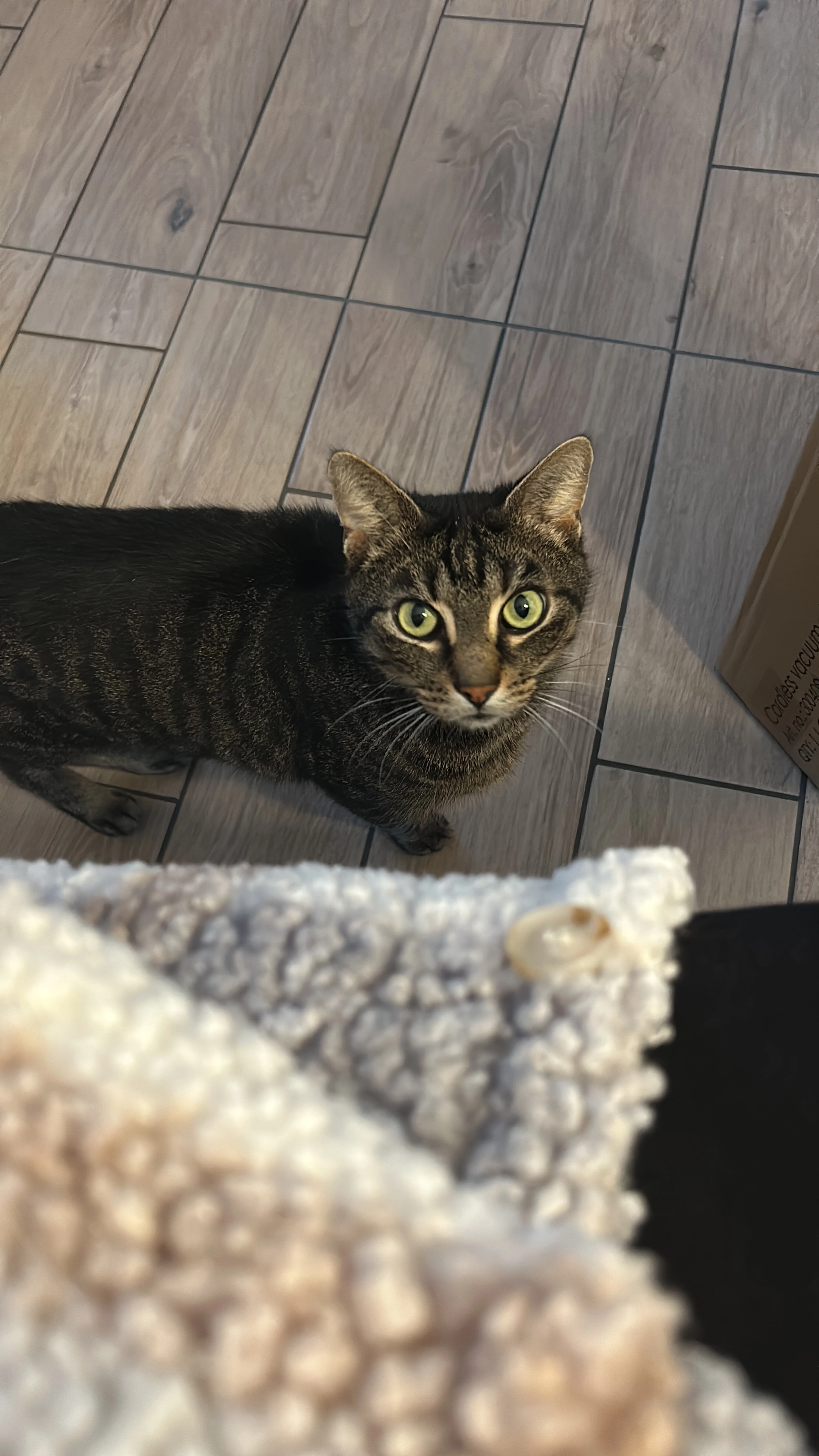 Illaja - Calbacher Straße, Büdingen