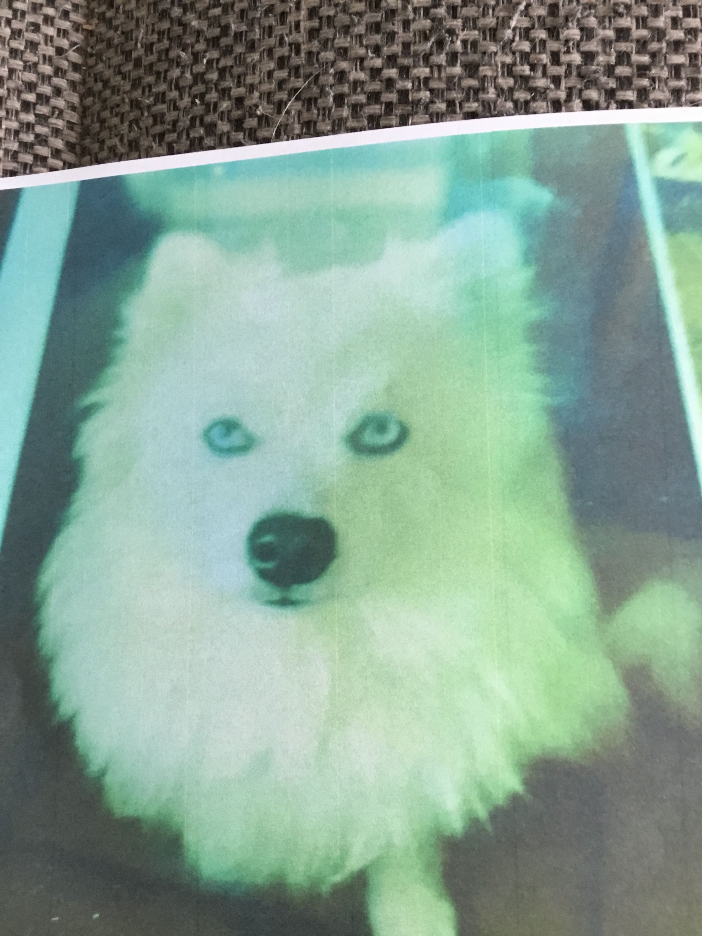 Snow - 4 Route de Lavallée, Tourneville