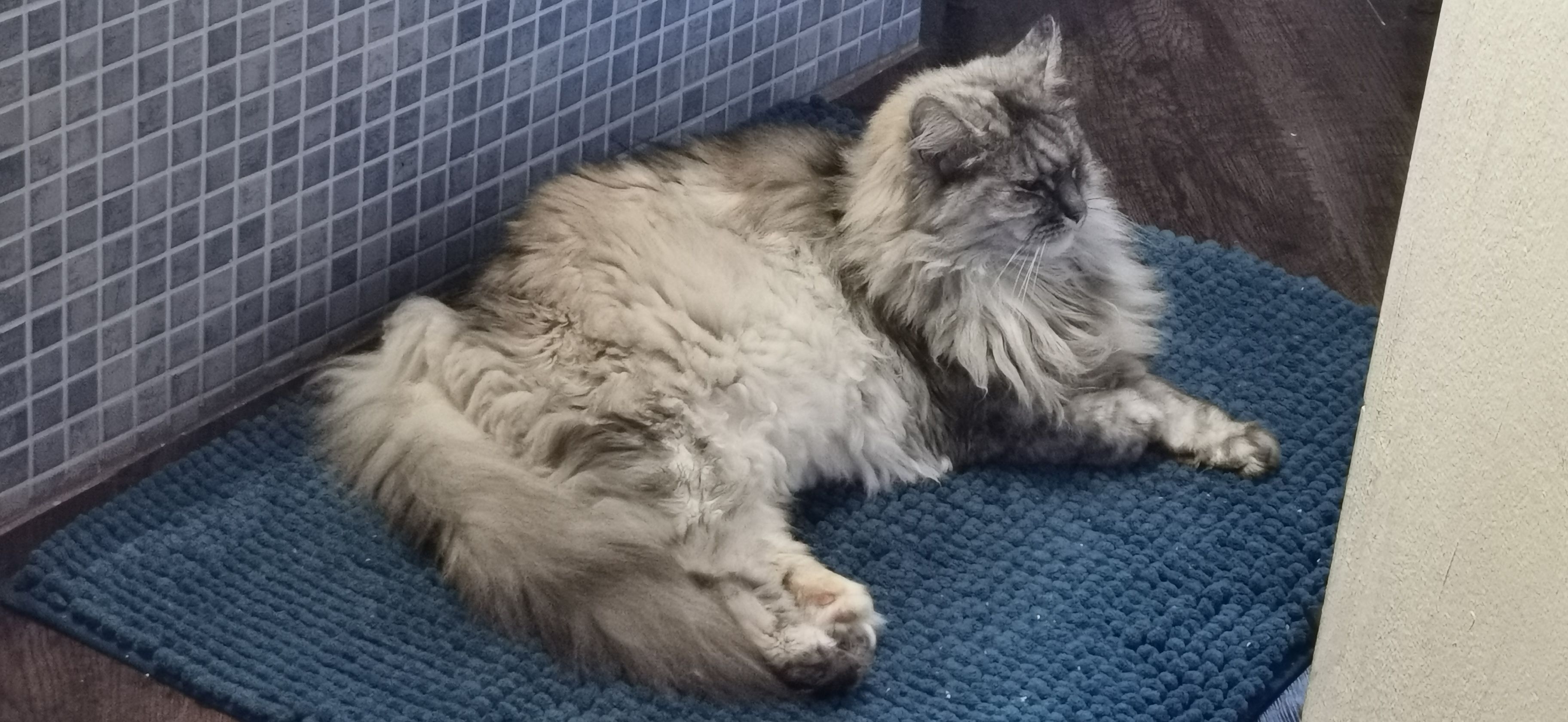 Urmel - Niederluher Straße, Lemgo