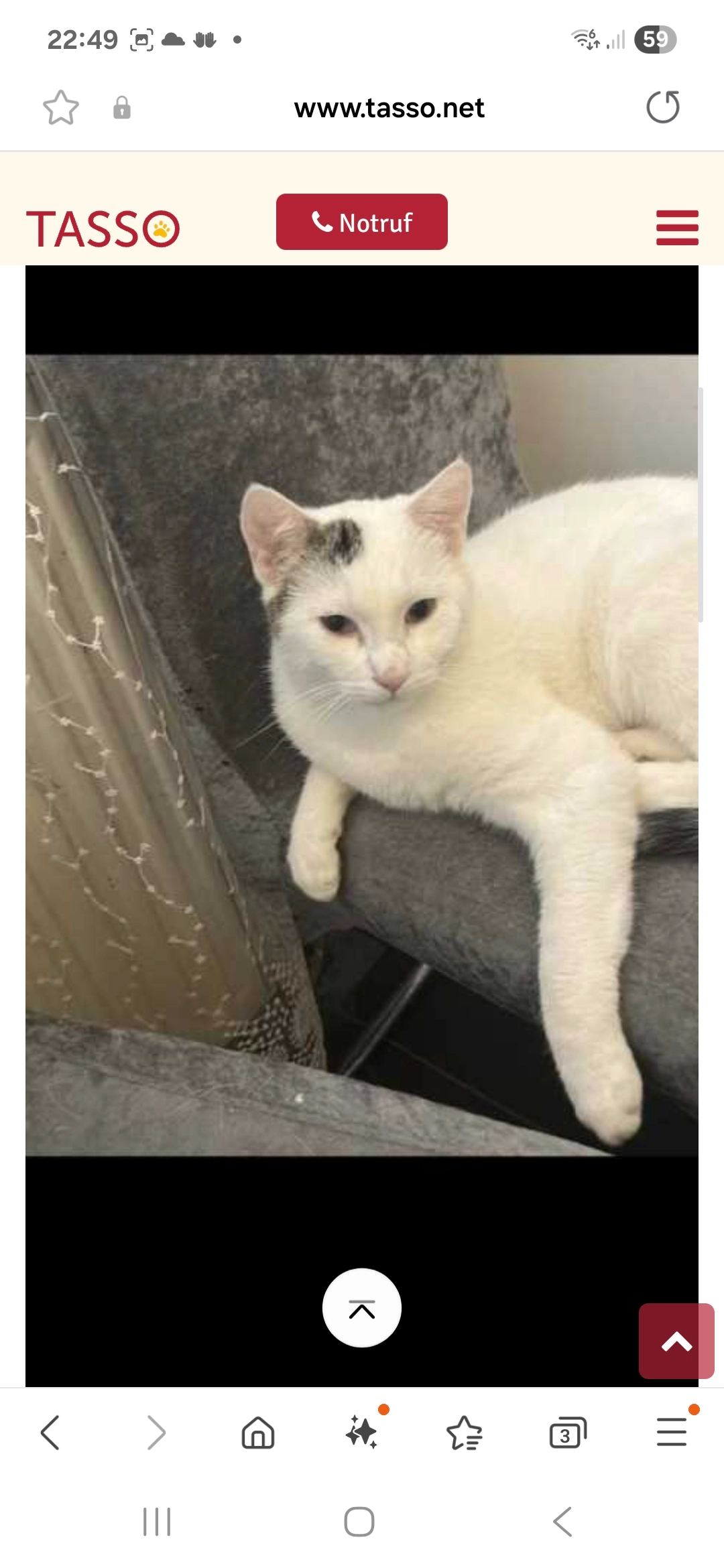 Zuko - Drachenfelsstraße, Bonn