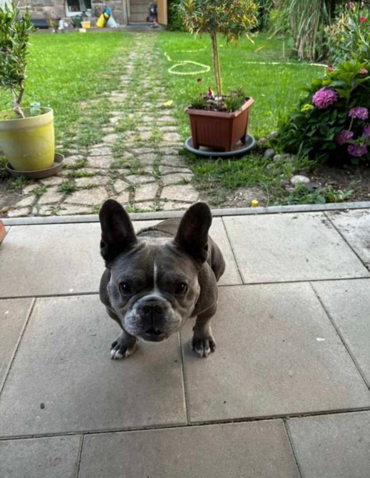 Gulliver - Zum Spitzberg, Chemnitz