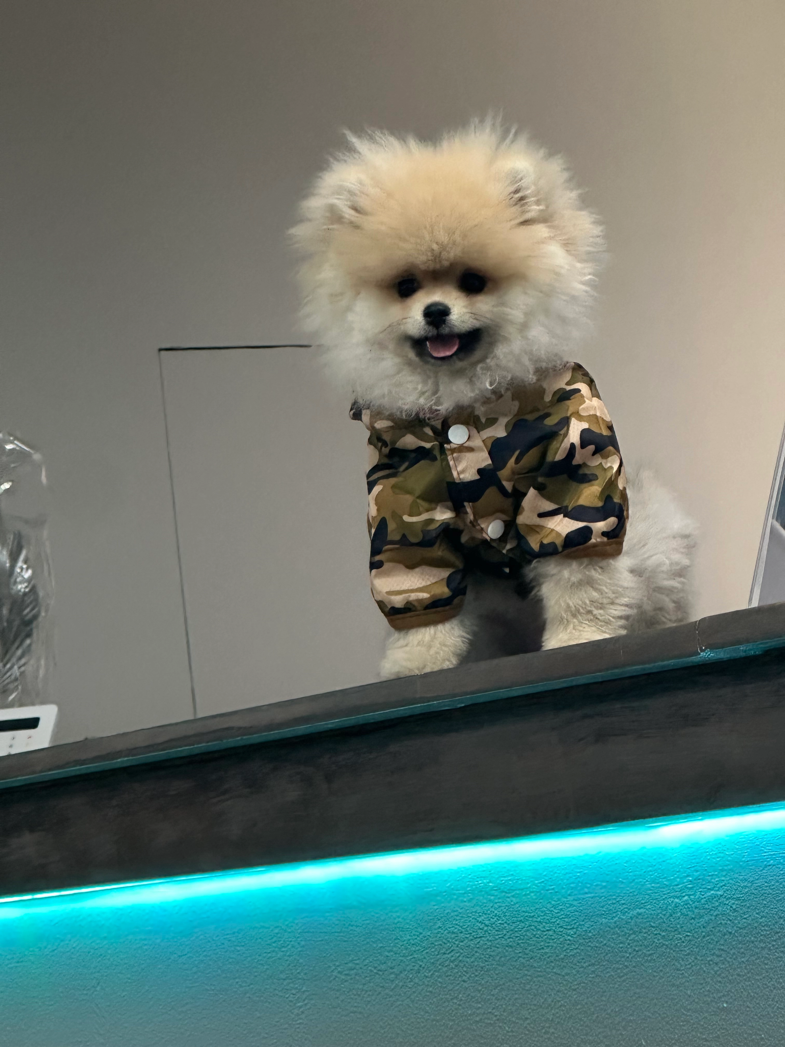 Bati - Heinrich-Hertz-Straße, Töging am Inn