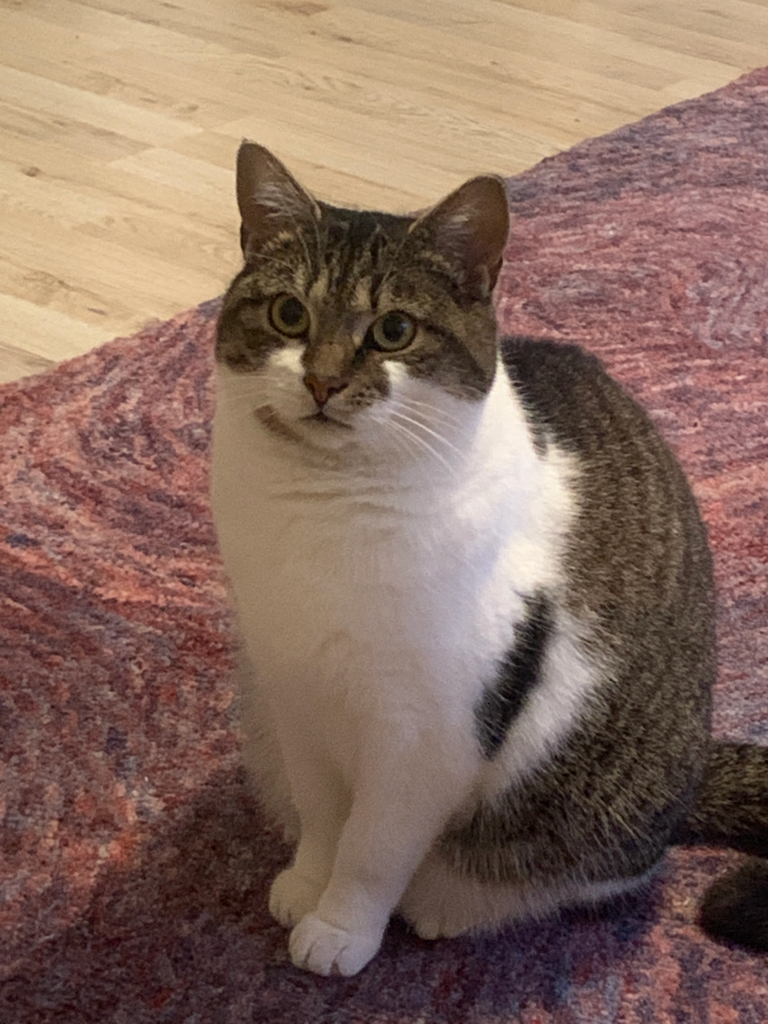 Luna - Vahlenhorst, Oldenburg