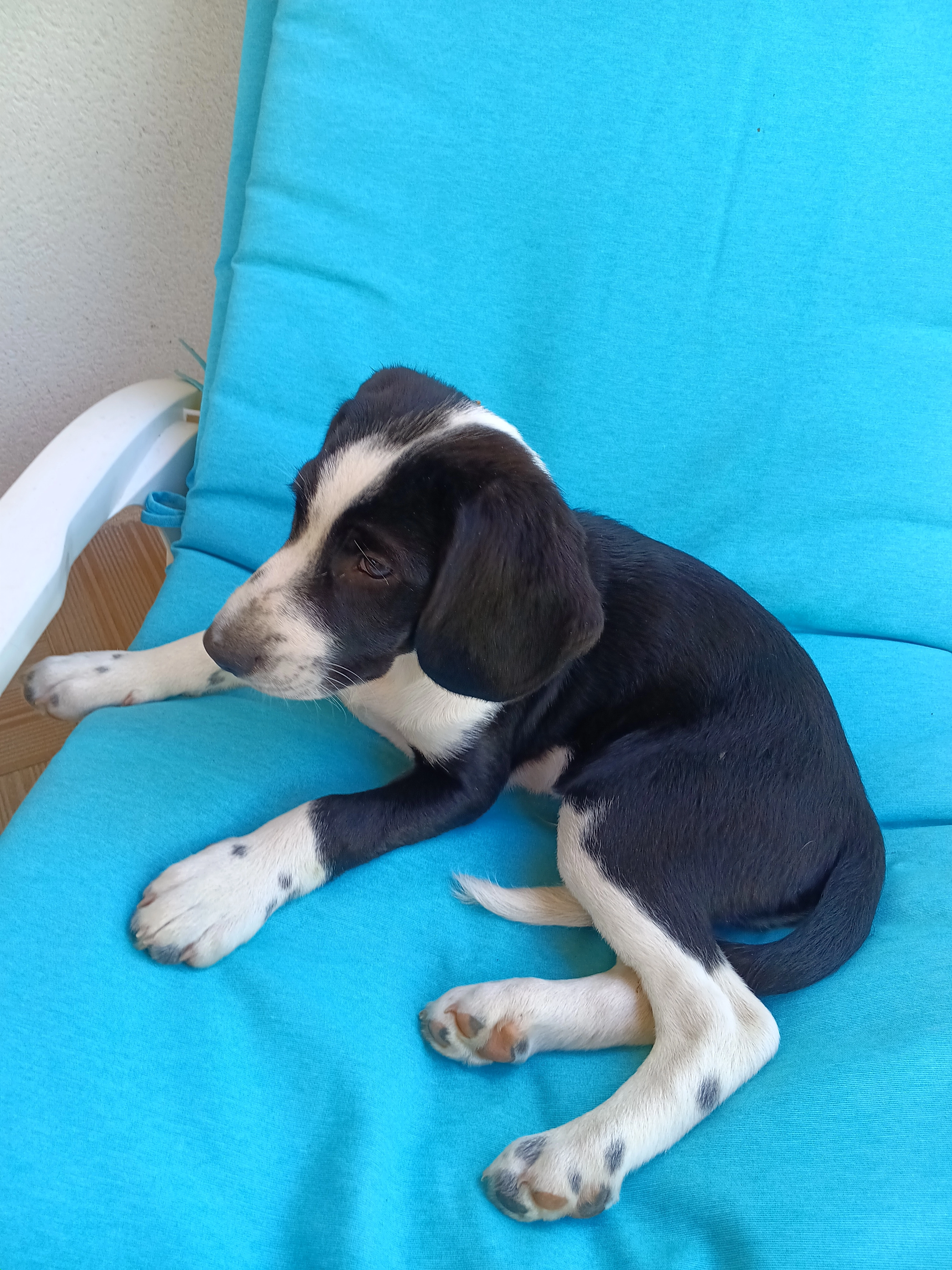 Tio - M 39, La Chapelle-sur-Erdre