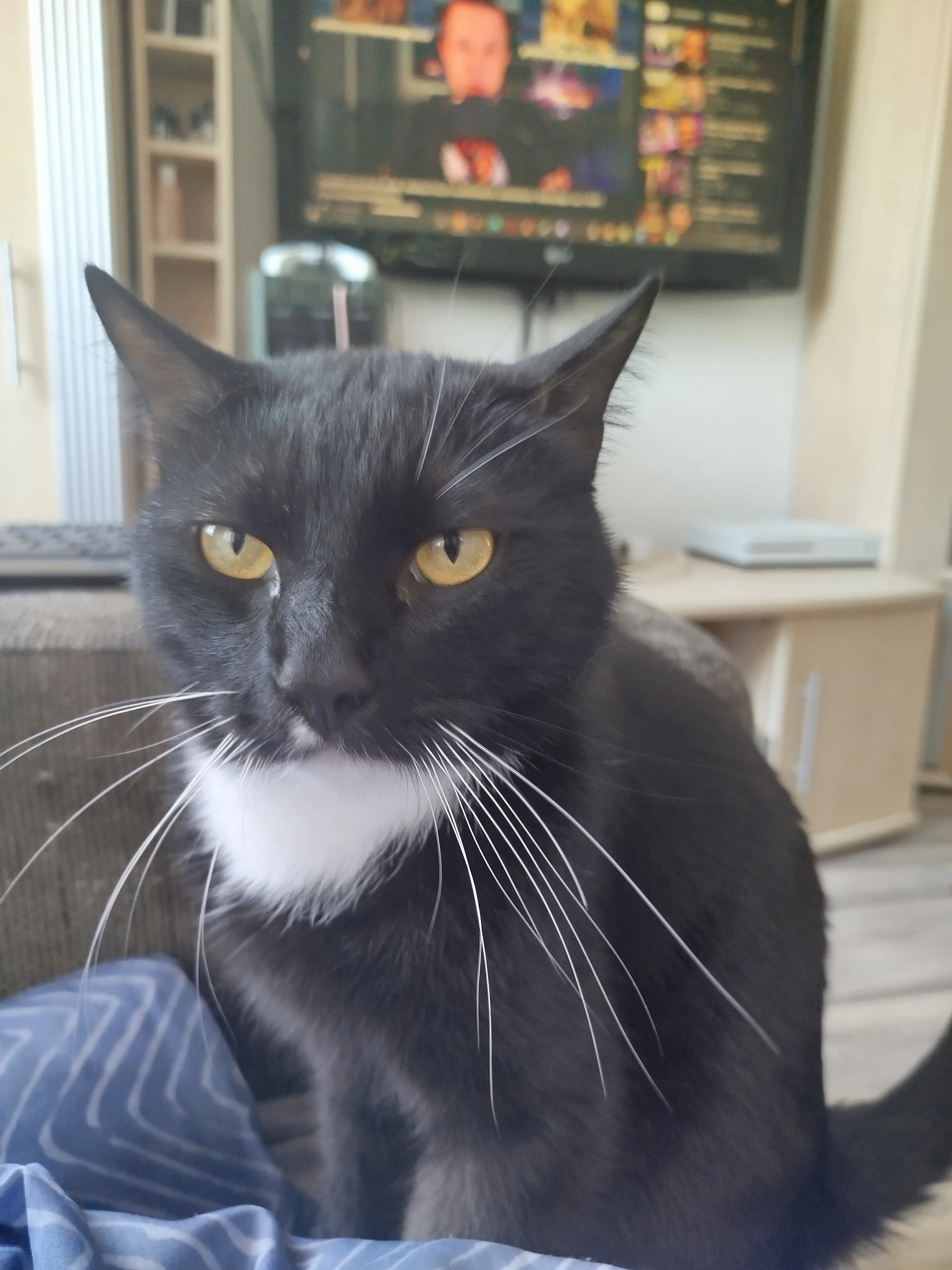 Mauzie - Hückeswagener Straße, Gummersbach