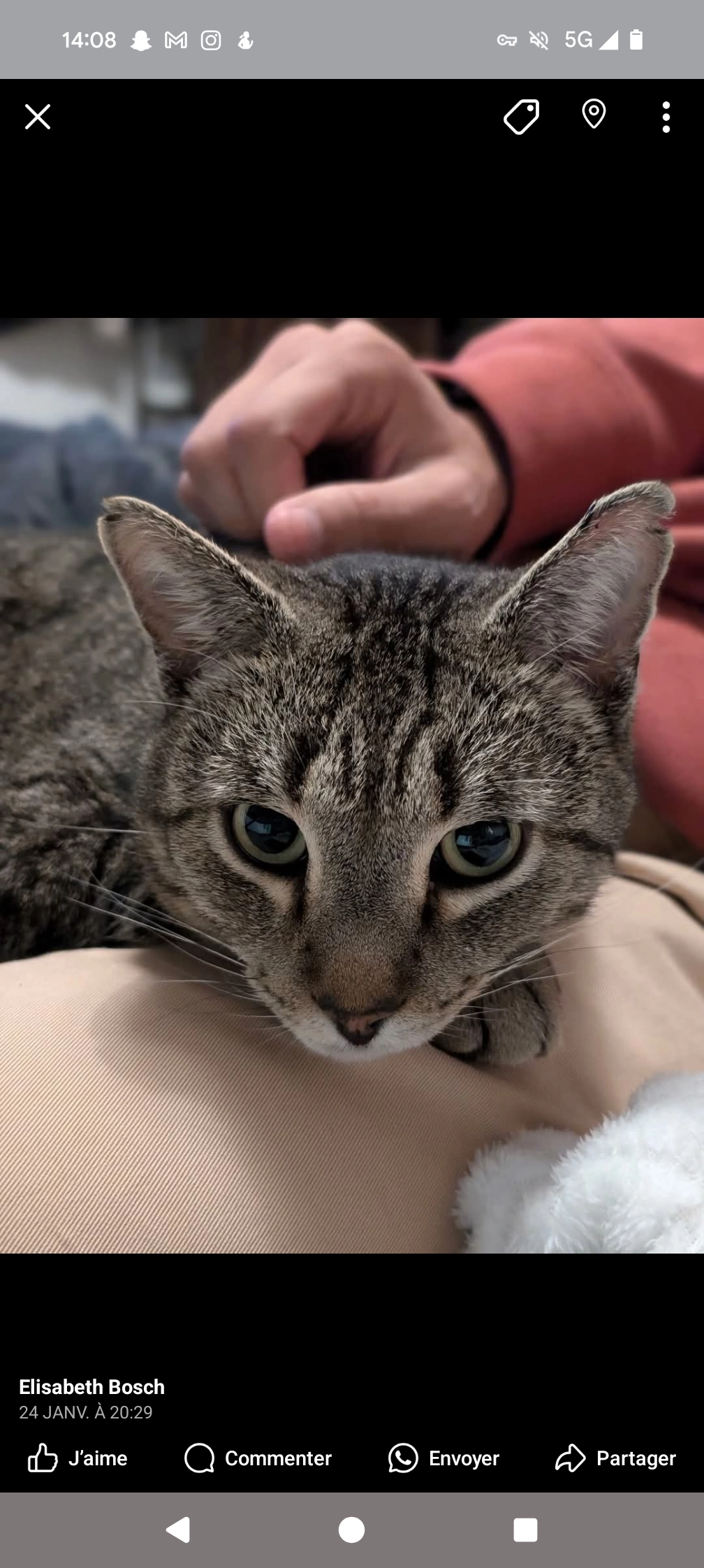 Indi - Allée Du Jaoumet, Baixas