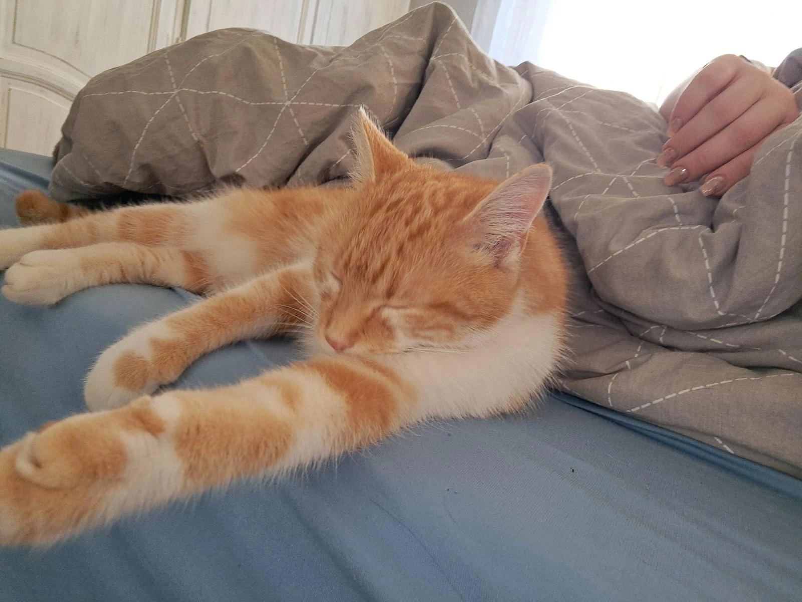 Fluffi - Blankenloch, Stutensee