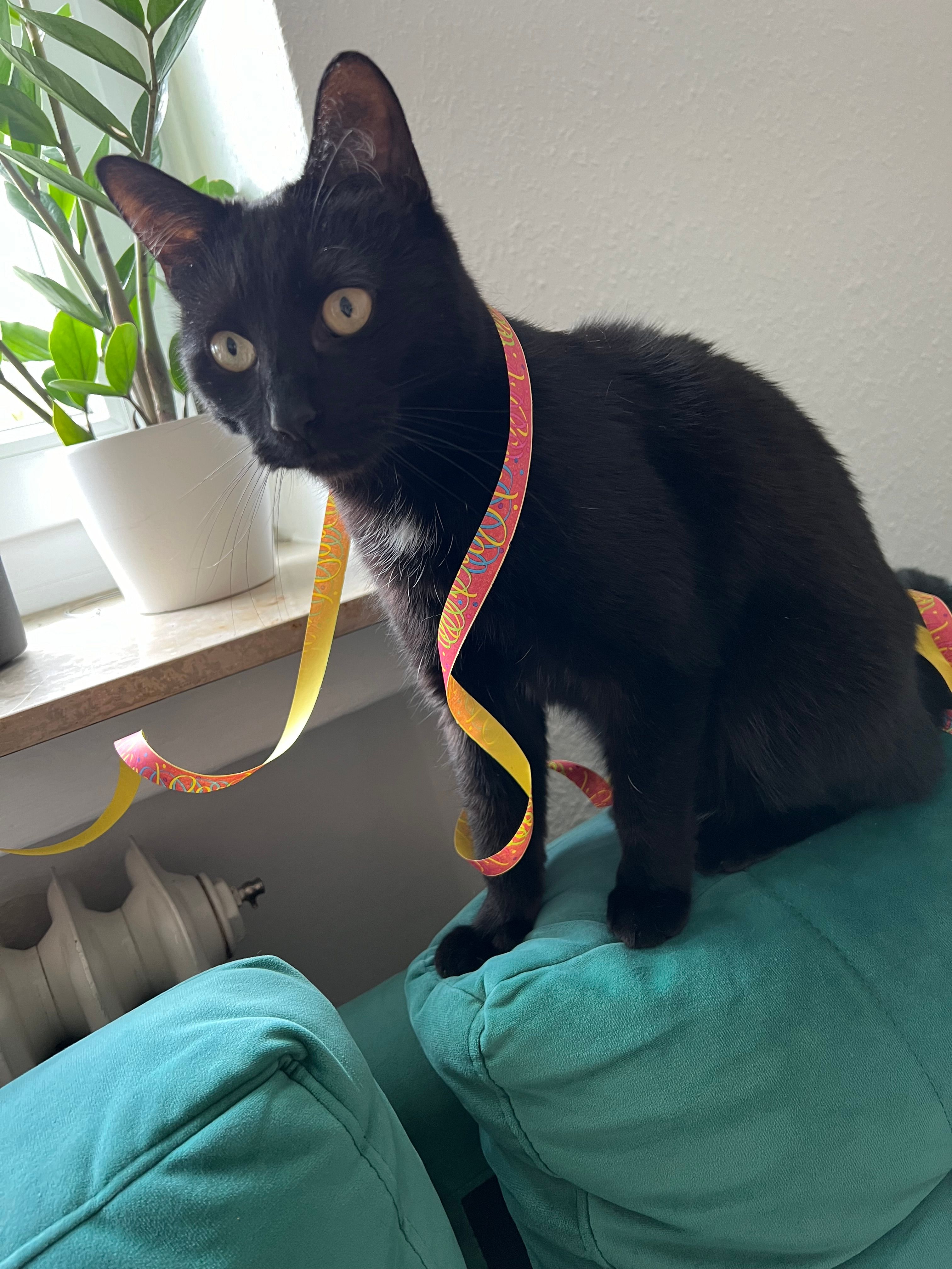 Coffee - Hoffkamp, Oldenburg