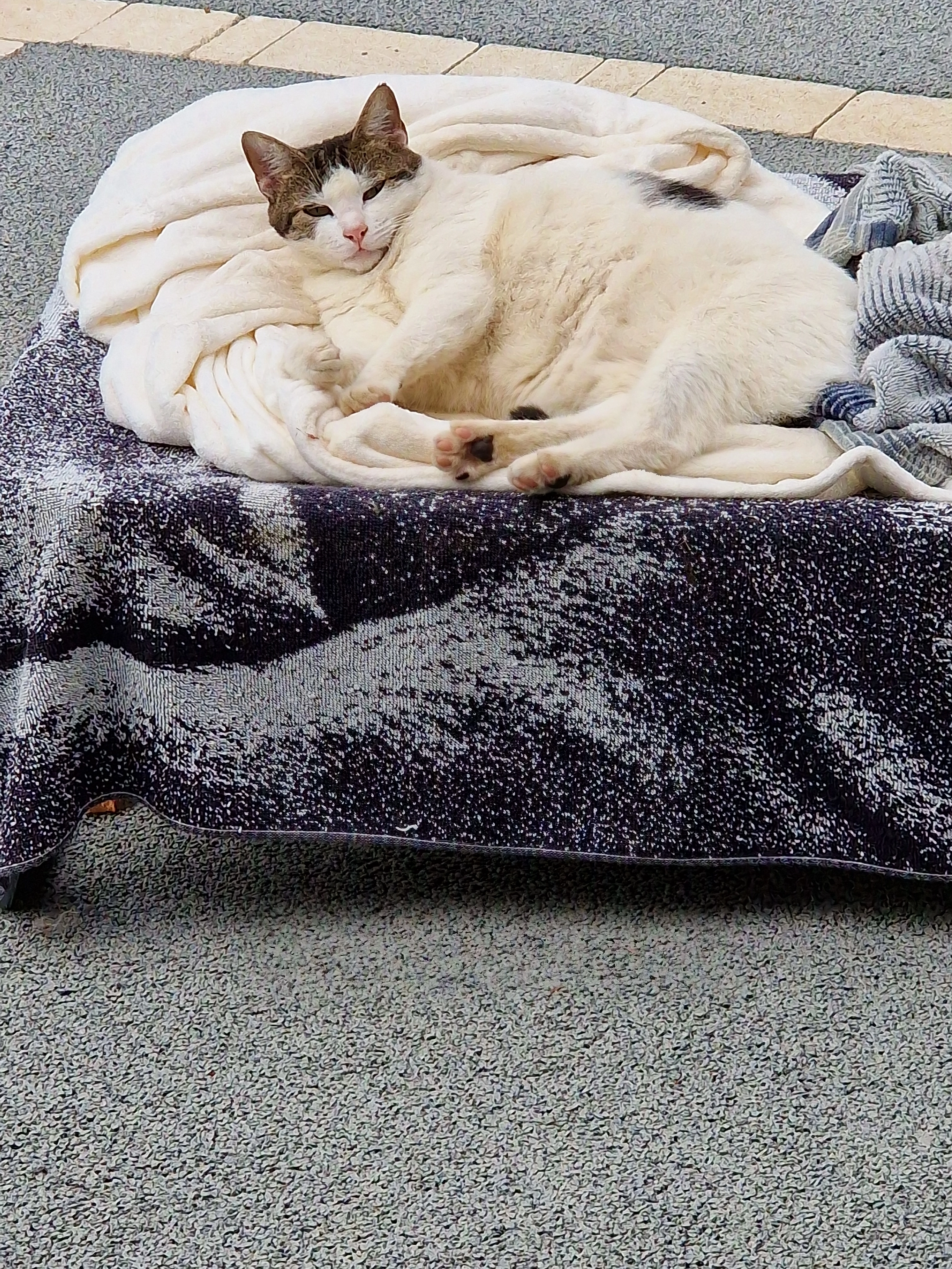 Sakura  - Rue De La Source, La Tardière