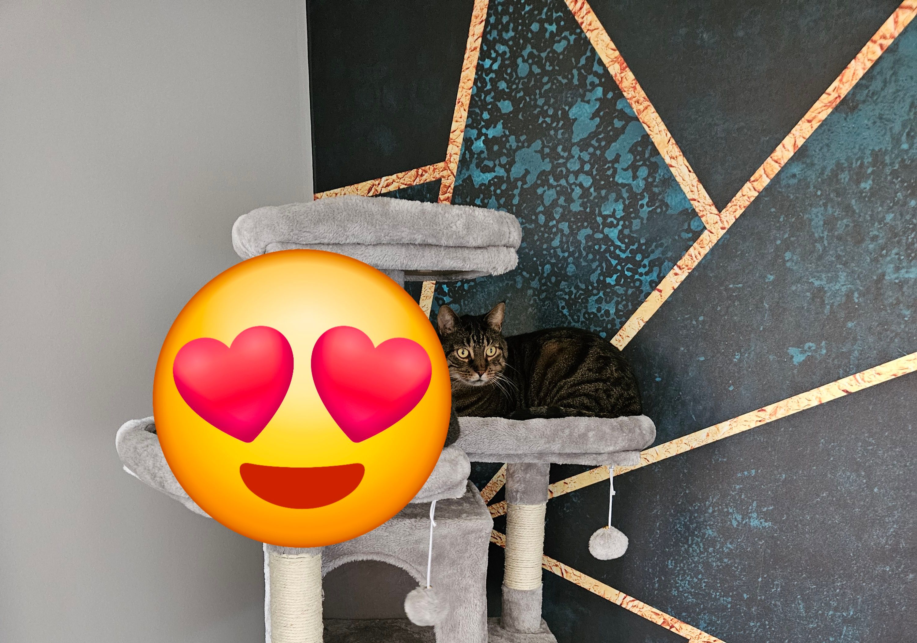 Negan - Sudetenlandstraße 21D, Neumünster