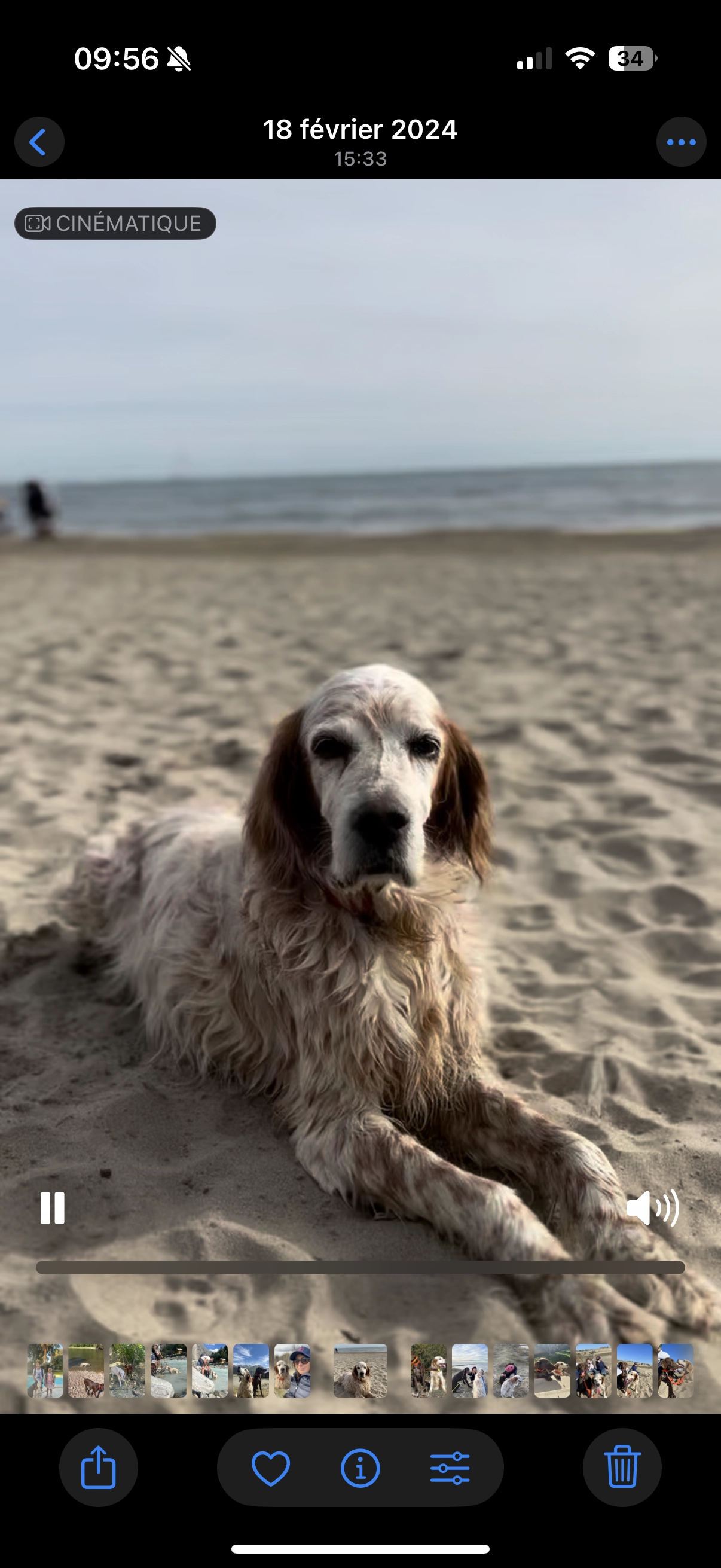 Geena - Rue de la Crouzette, Saint-Aunès