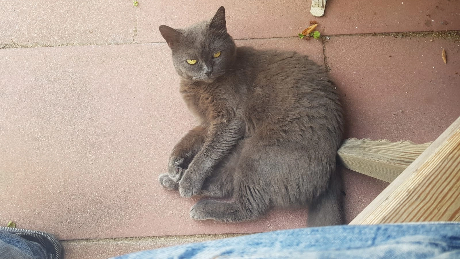 Sen - Bischof-Zeller-Straße, Leibersdorf/Volkenschwand