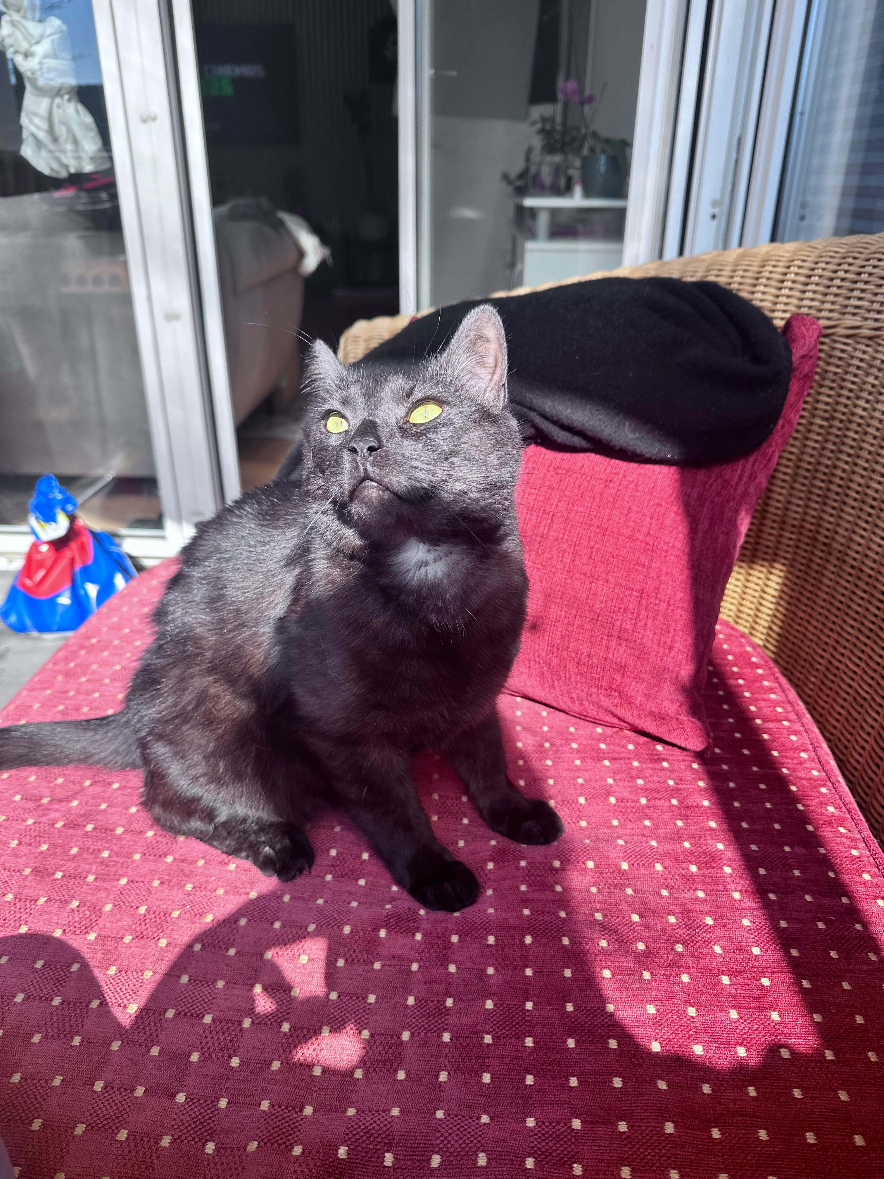 Arni  - Poststraße, Recke