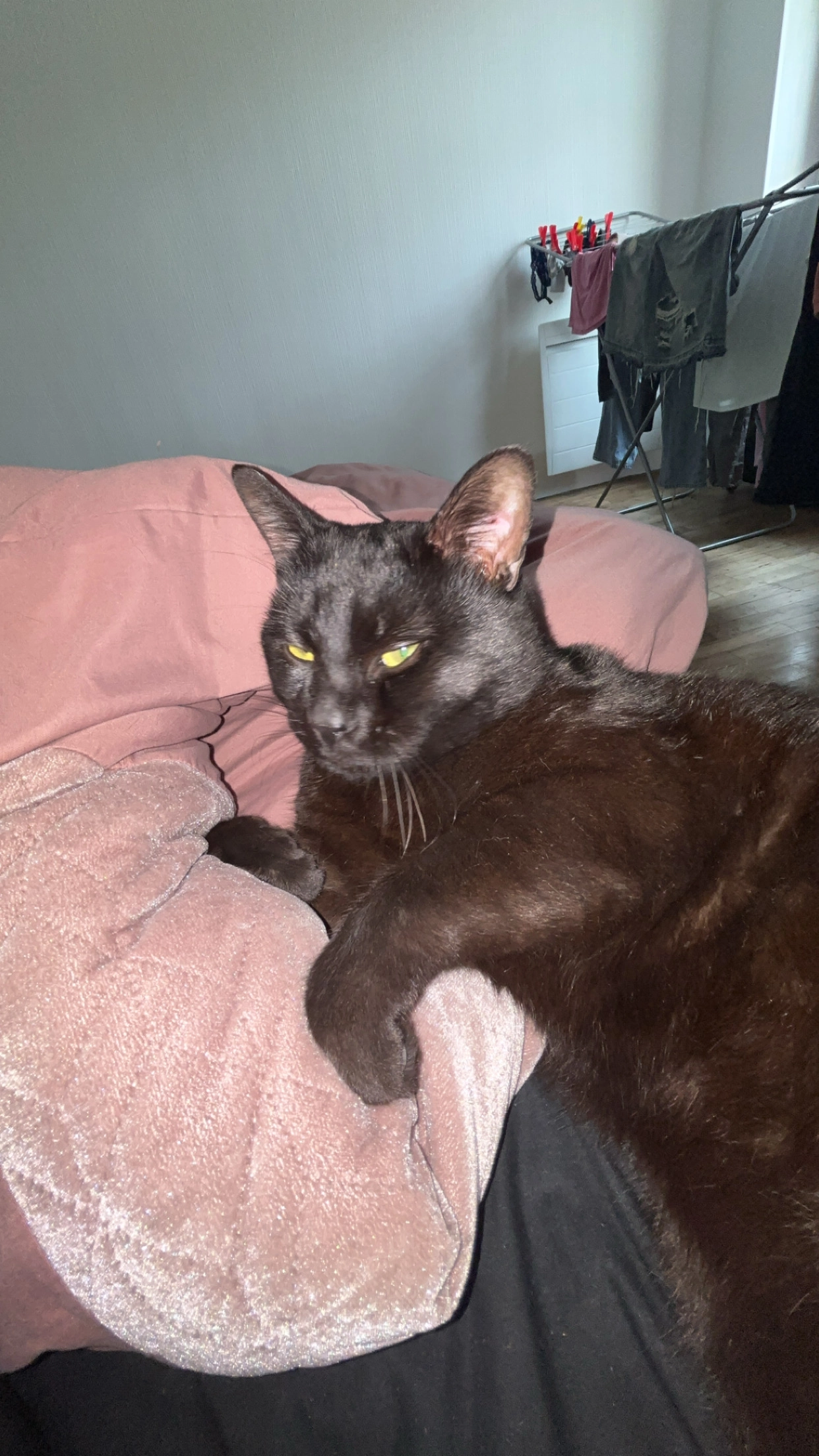 Mimi - 53 Rue du Maréchal Leclerc, Niort