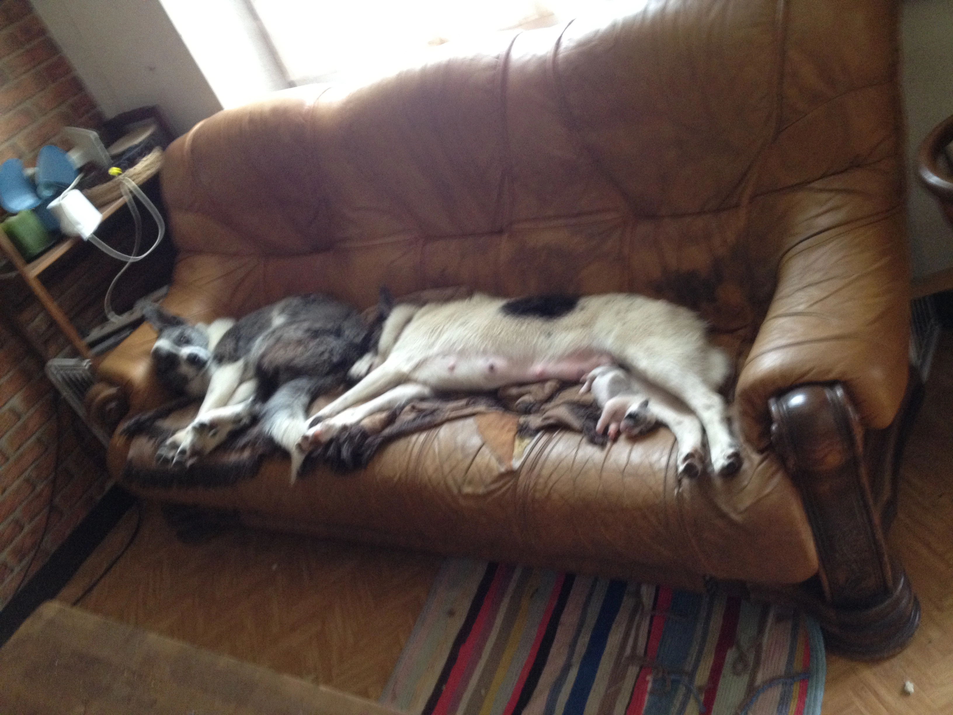 Booga  - Rue De La Commanderie, Montigny-l'Allier