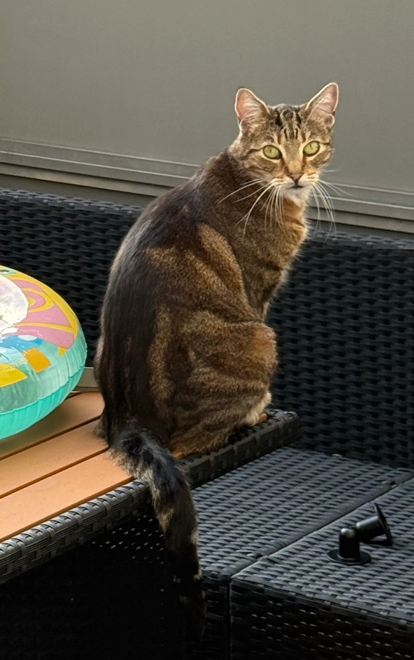 Moritz - Barlowstraße, München