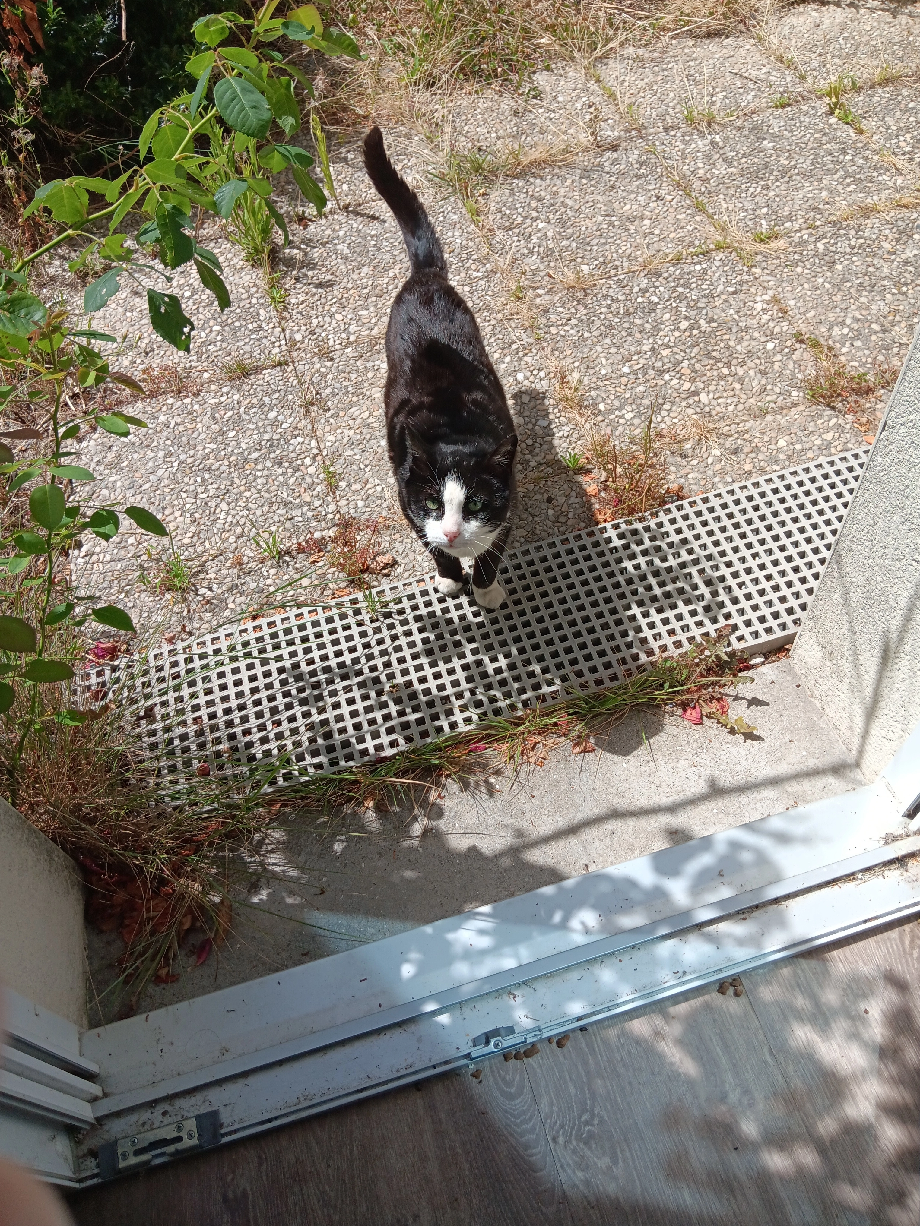 Roki - Route de Guindreff, Saint-Nazaire