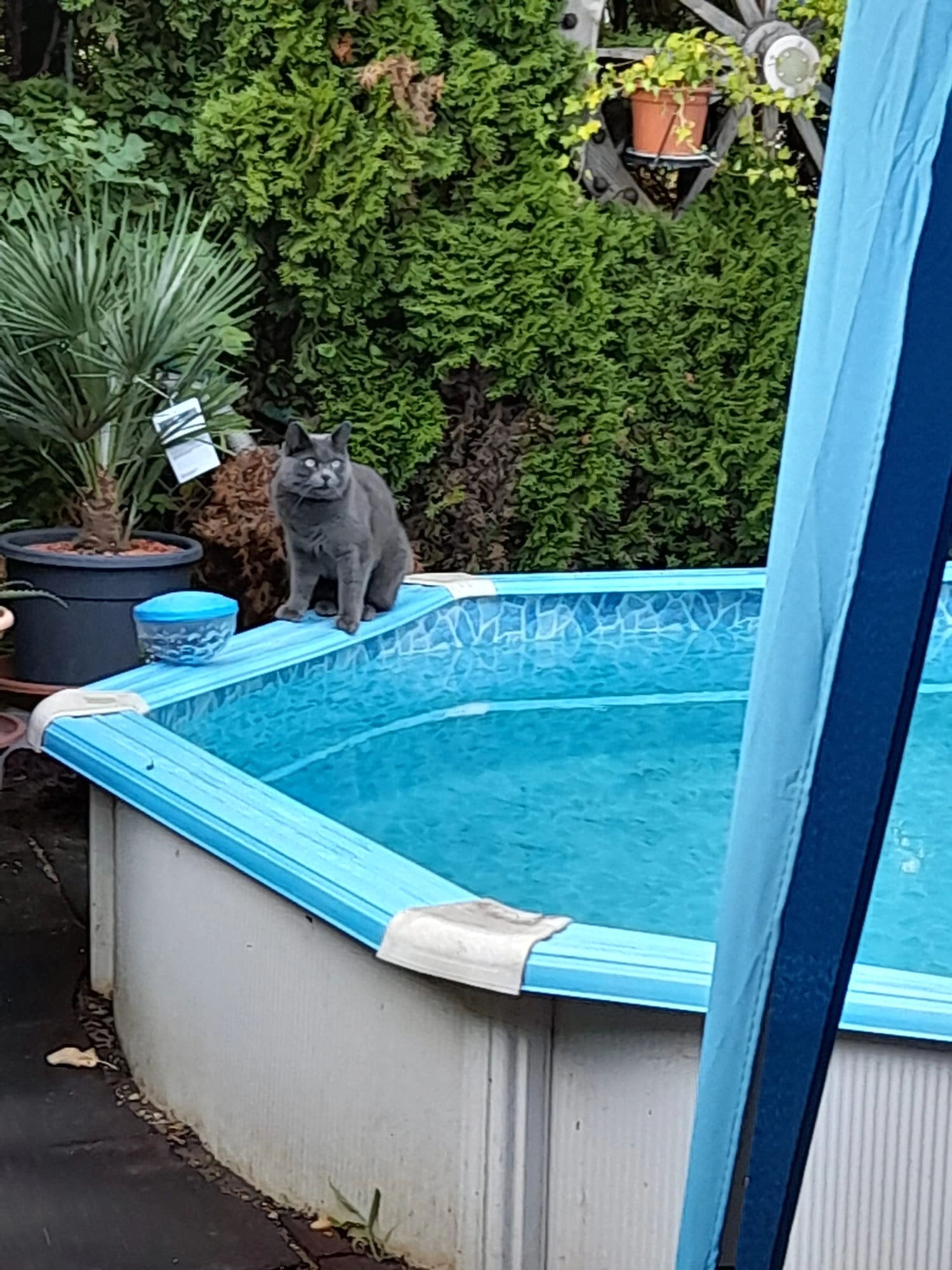 Minki - Stemmerstrasse, Büsingen am Hochrhein