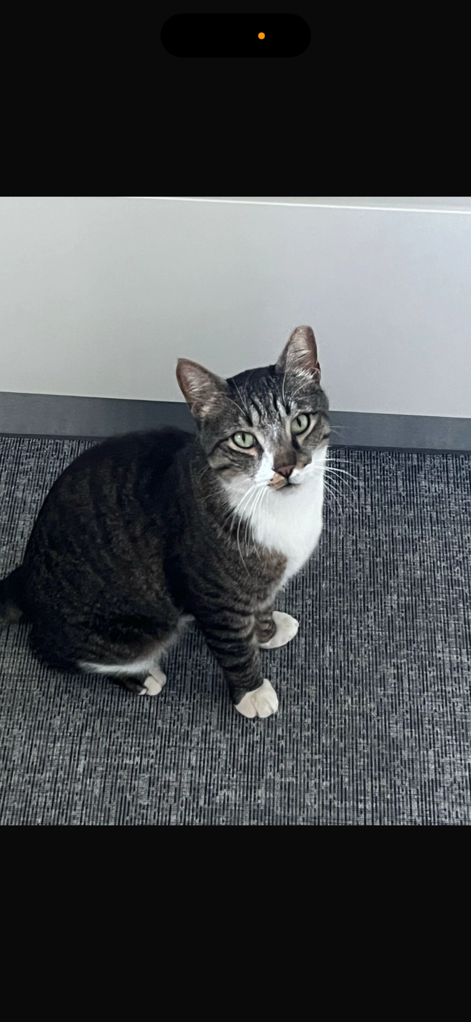 בס - רחוב נוה רעים, פתח תקווה