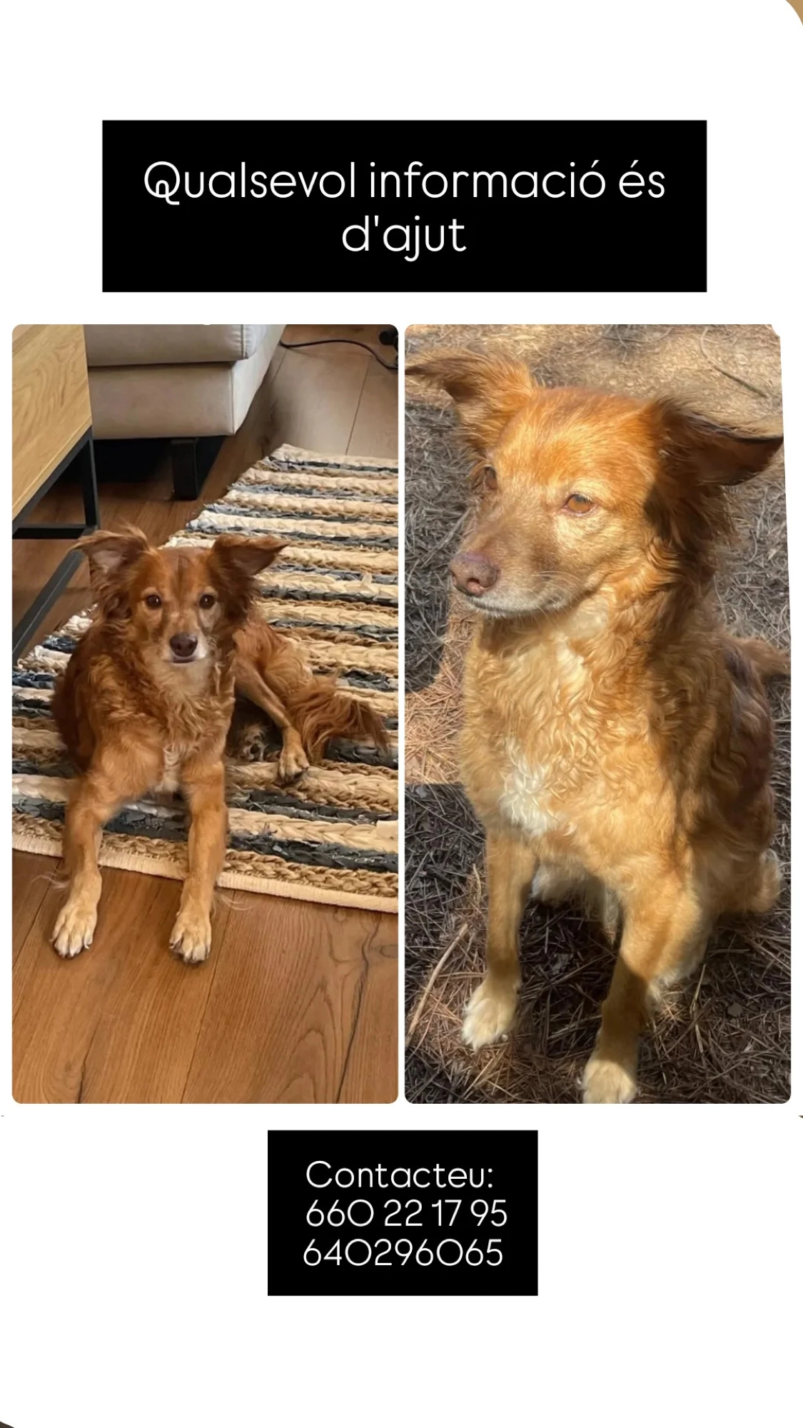 Rega - Avinguda Del Castell De Montbui, Bigues i Riells del Fai