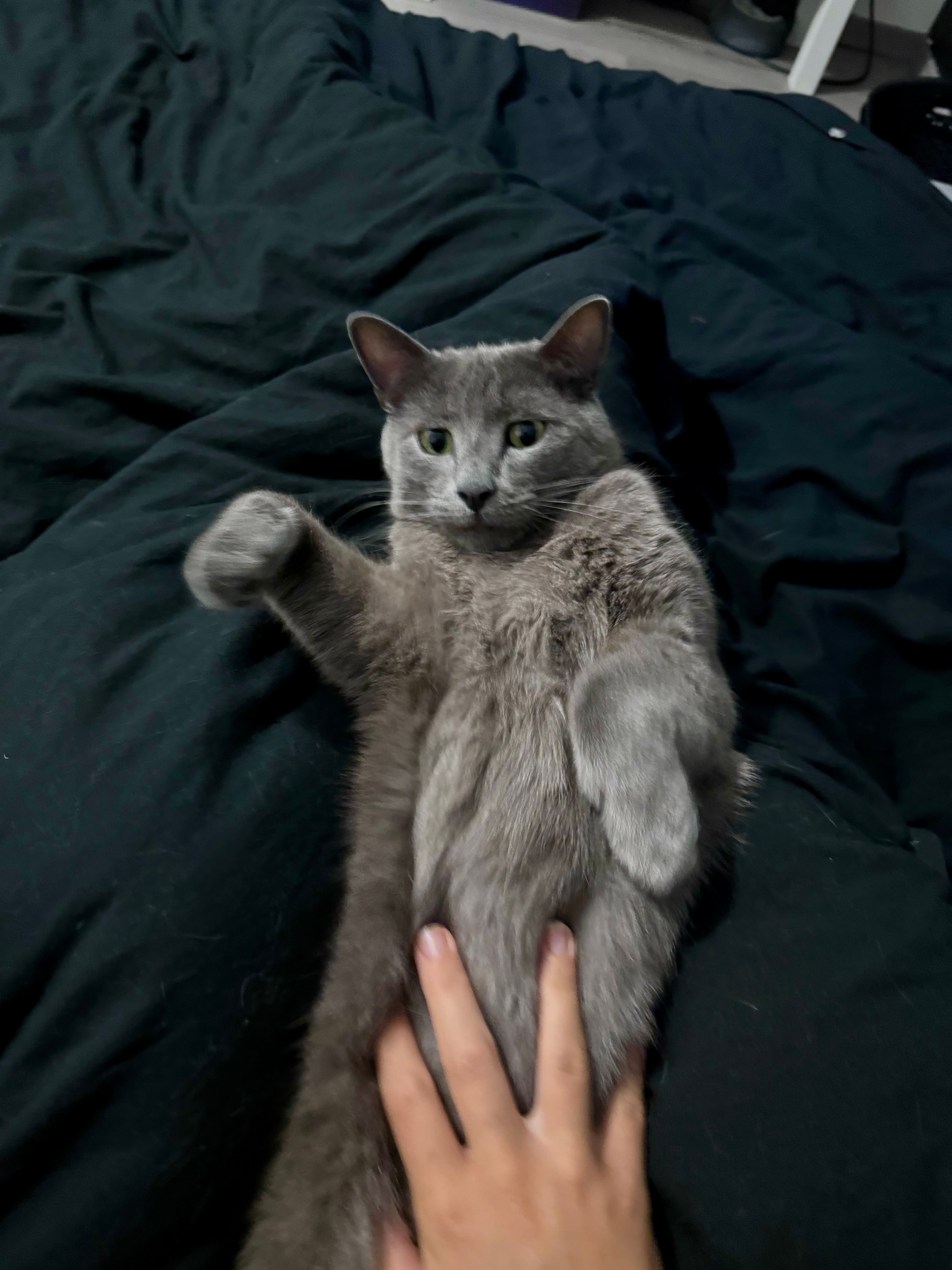 Tang - 65 Rue des Tisserands, Commer