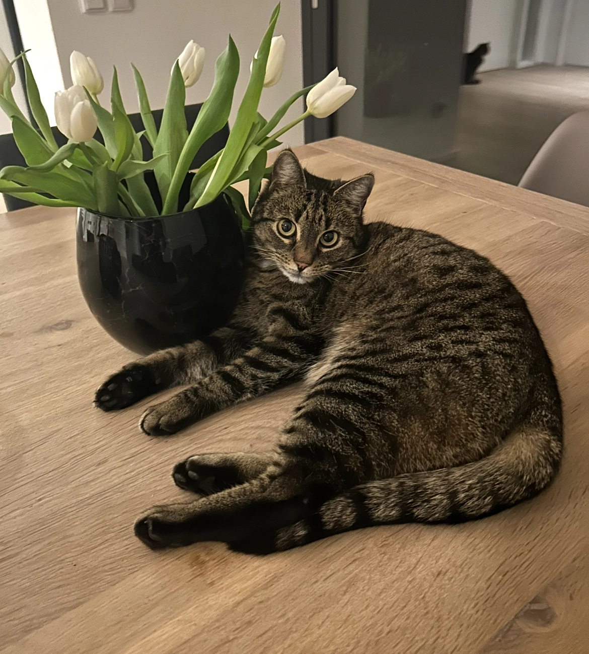 Ise - Schledehauser Weg, Osnabrück