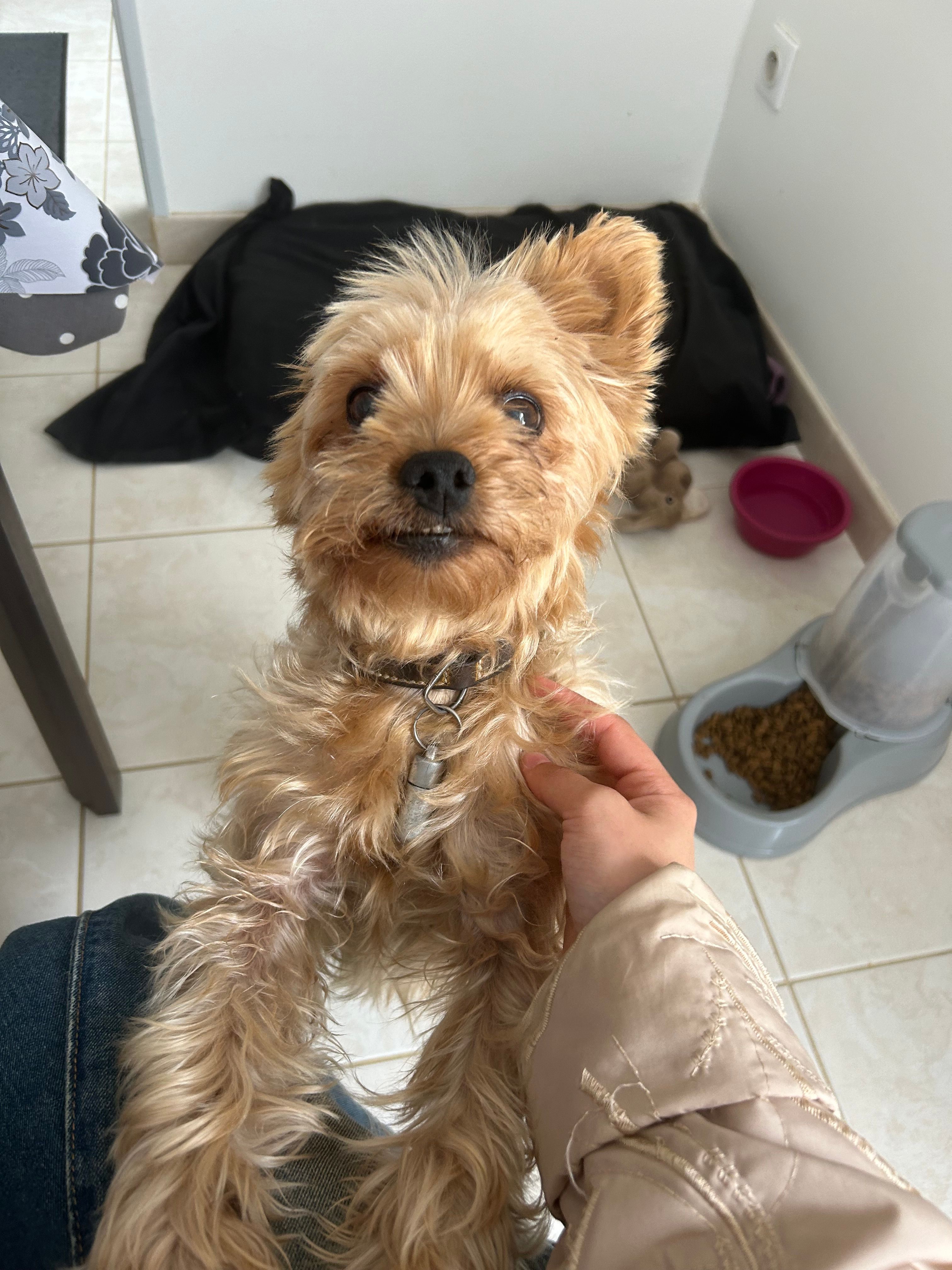 Halto  - Rue Charles Anjubault, Saint-Paterne