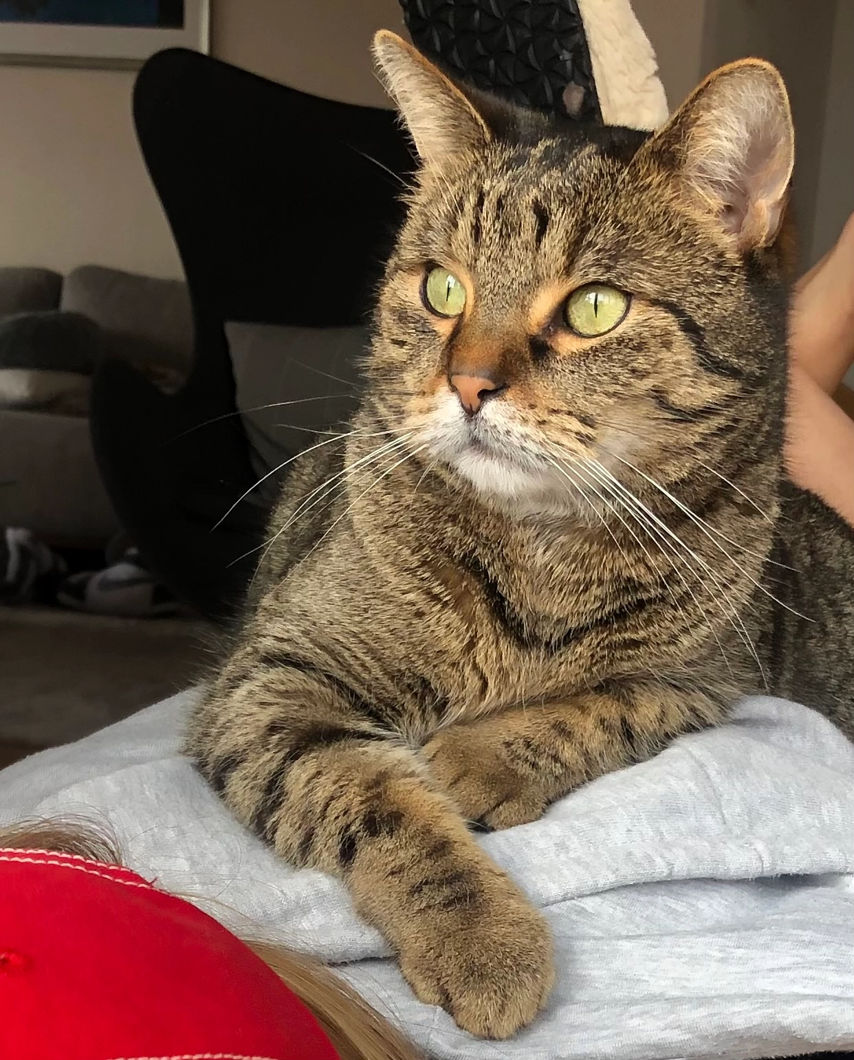 Mia - Am Krampnitzsee, Potsdam