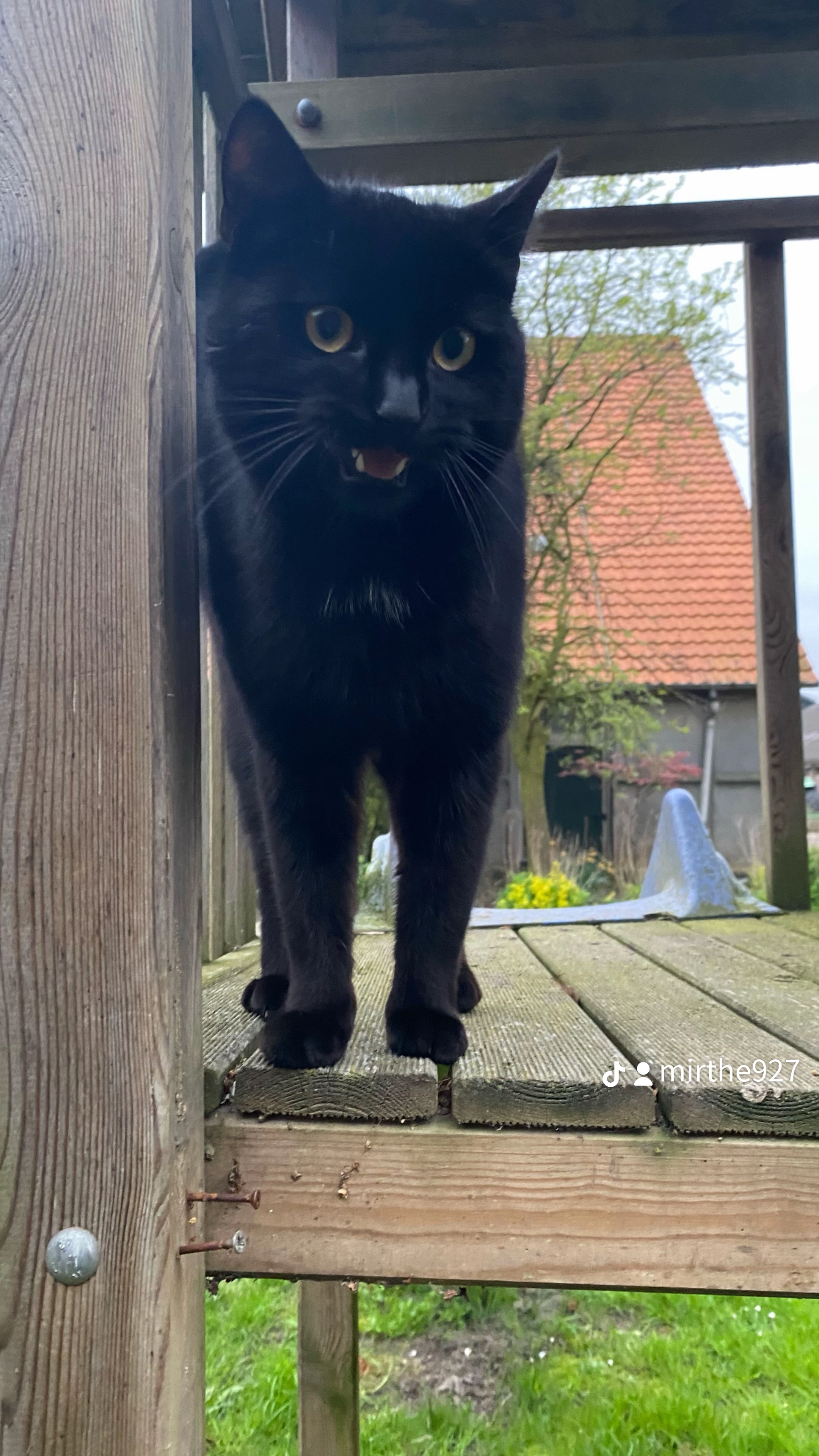 Jacks  - Johannes Postweg, Flevoland